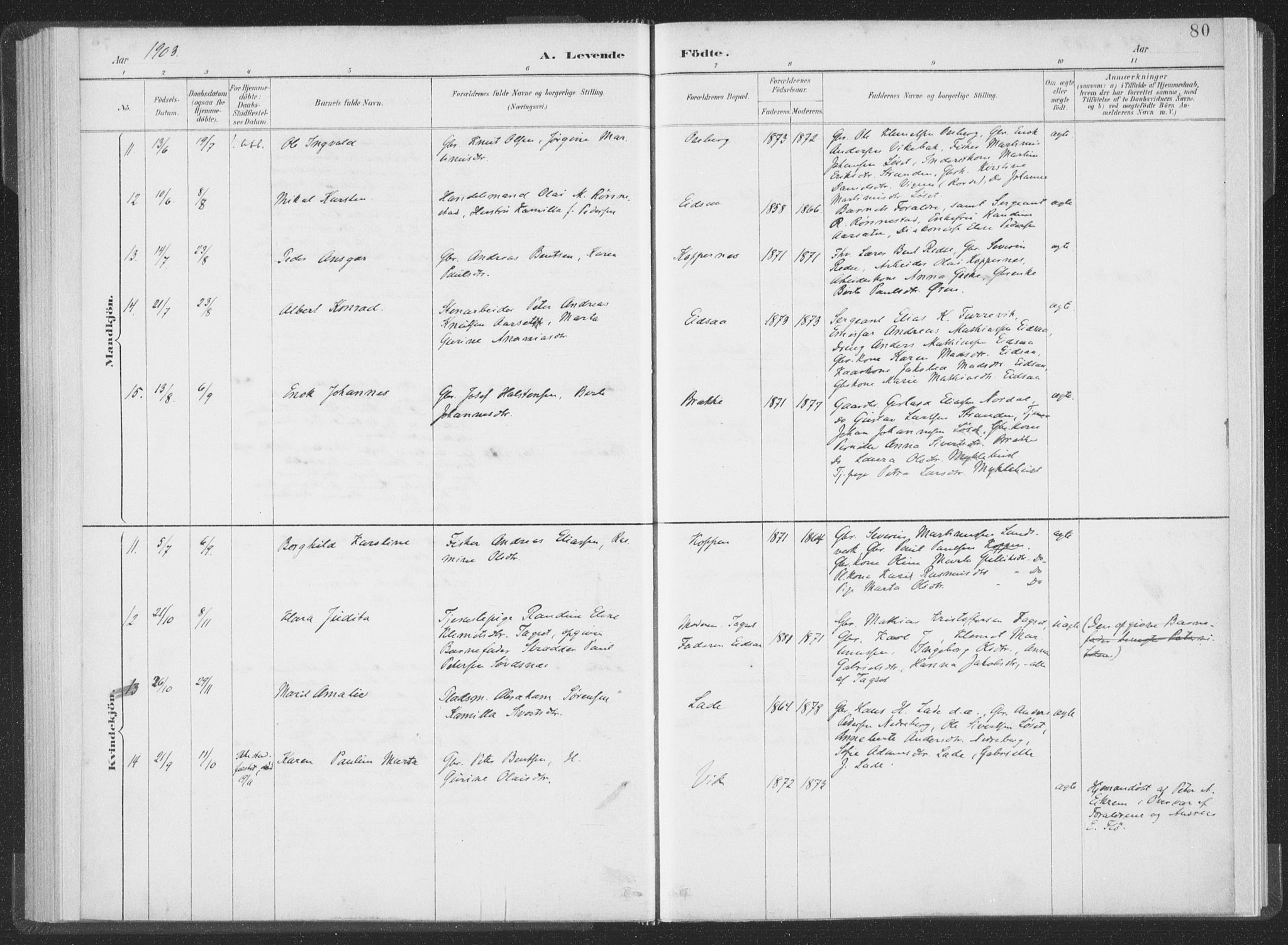 Ministerialprotokoller, klokkerbøker og fødselsregistre - Møre og Romsdal, AV/SAT-A-1454/502/L0025: Parish register (official) no. 502A03, 1885-1909, p. 80