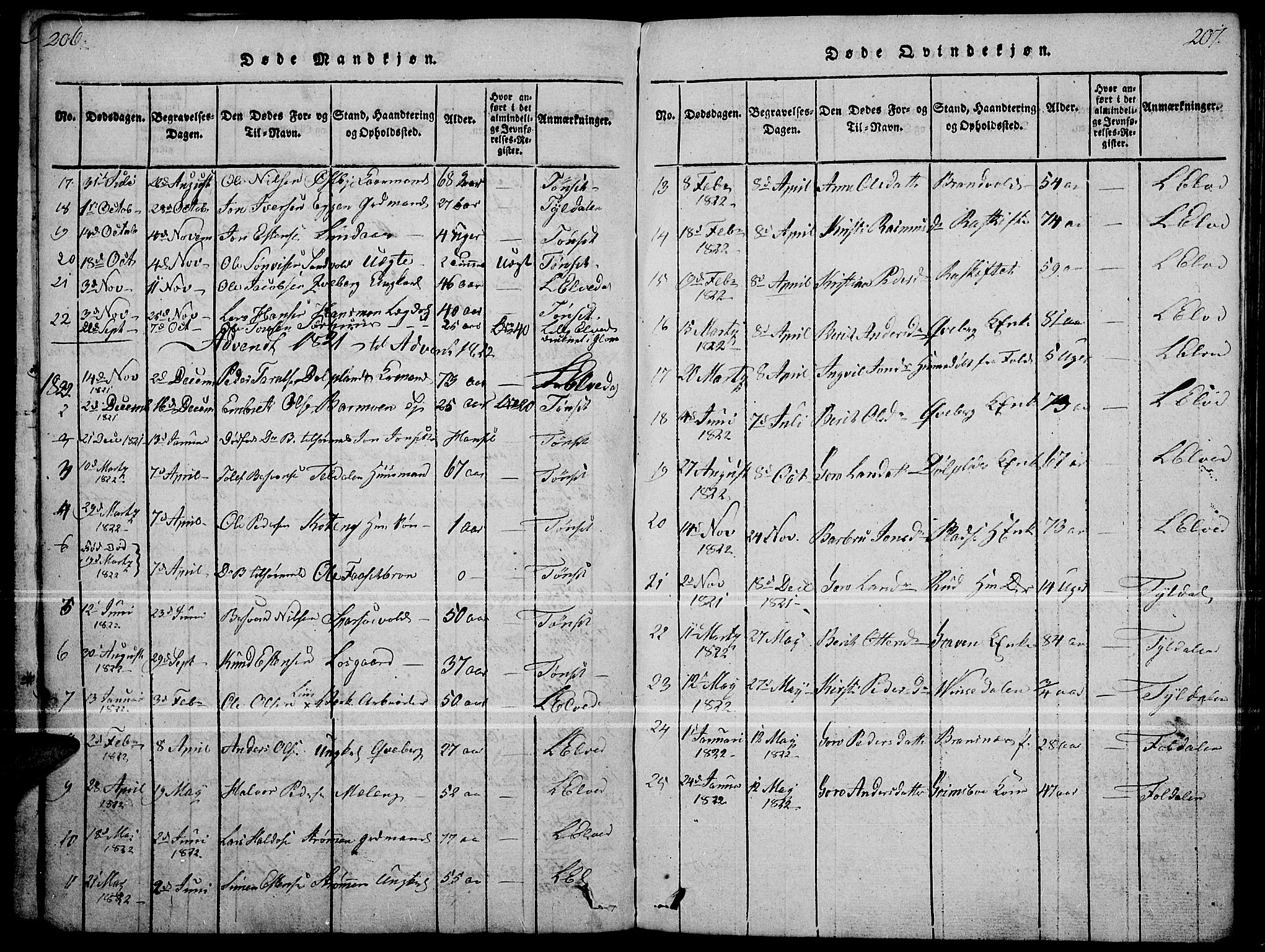 Tynset prestekontor, SAH/PREST-058/H/Ha/Haa/L0018: Parish register (official) no. 18, 1815-1829, p. 206-207