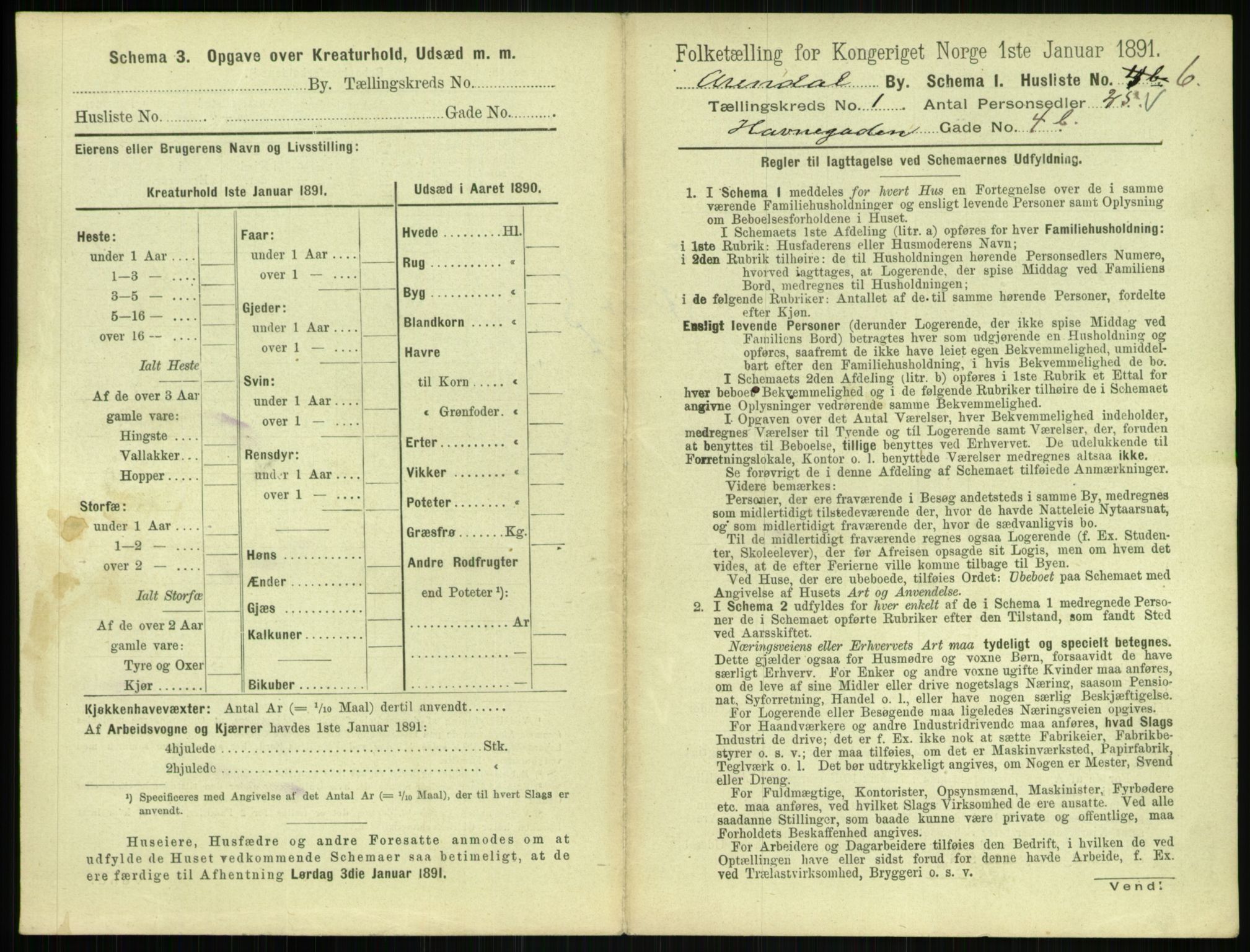 RA, 1891 census for 0903 Arendal, 1891, p. 46