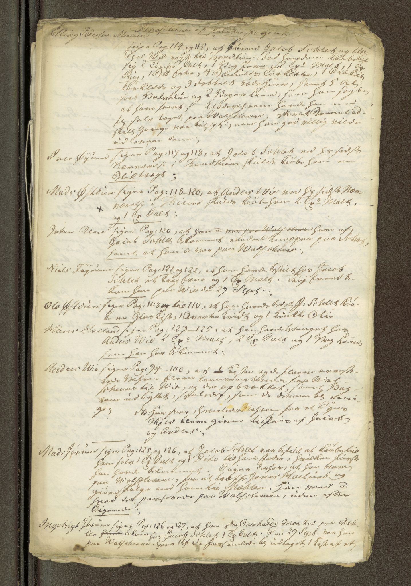 Namdal sorenskriveri, SAT/A-4133/1/1/1O/1Oa/L0007: Sivile og offentlige saker, 1798, p. 447