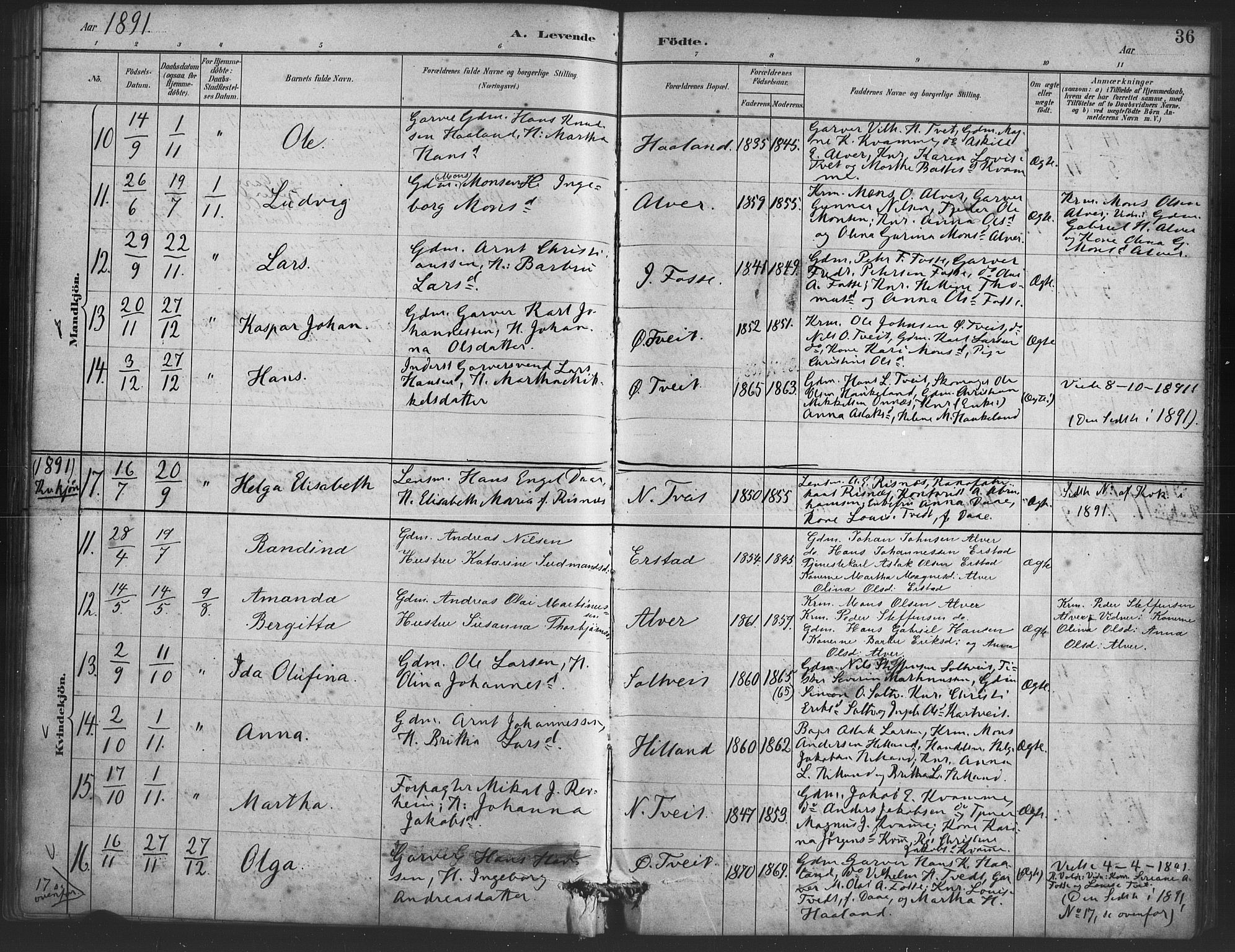 Alversund Sokneprestembete, AV/SAB-A-73901/H/Ha/Haa/Haaa/L0001: Parish register (official) no. A 1, 1882-1896, p. 36