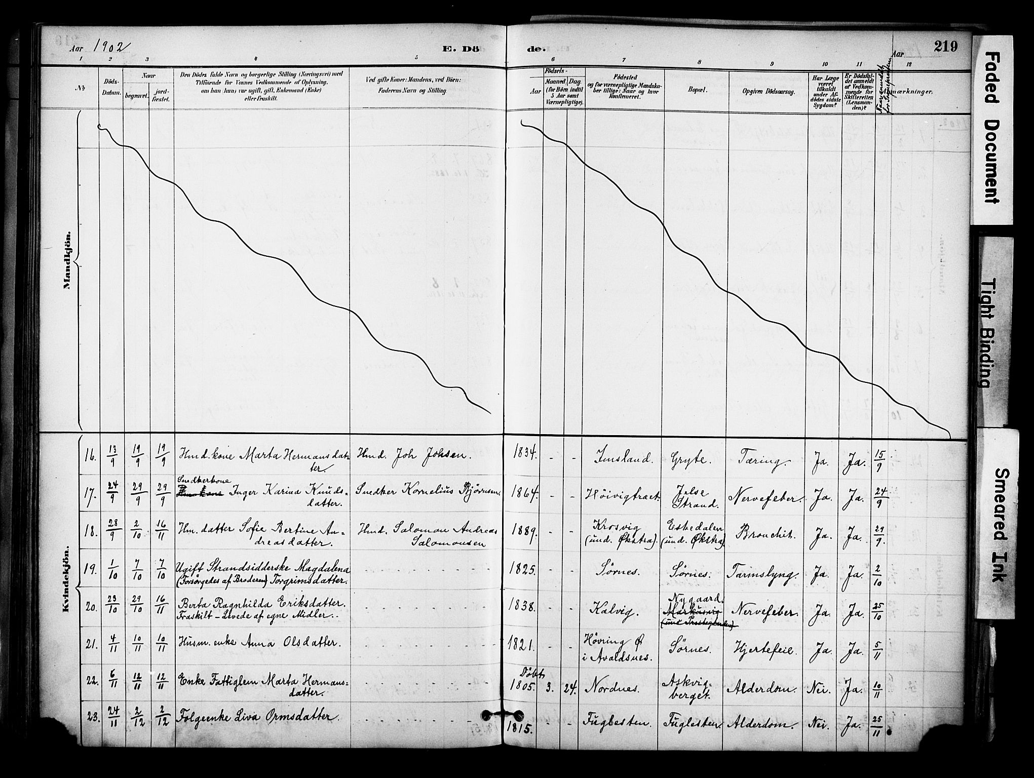 Jelsa sokneprestkontor, AV/SAST-A-101842/01/IV: Parish register (official) no. A 10, 1884-1906, p. 219