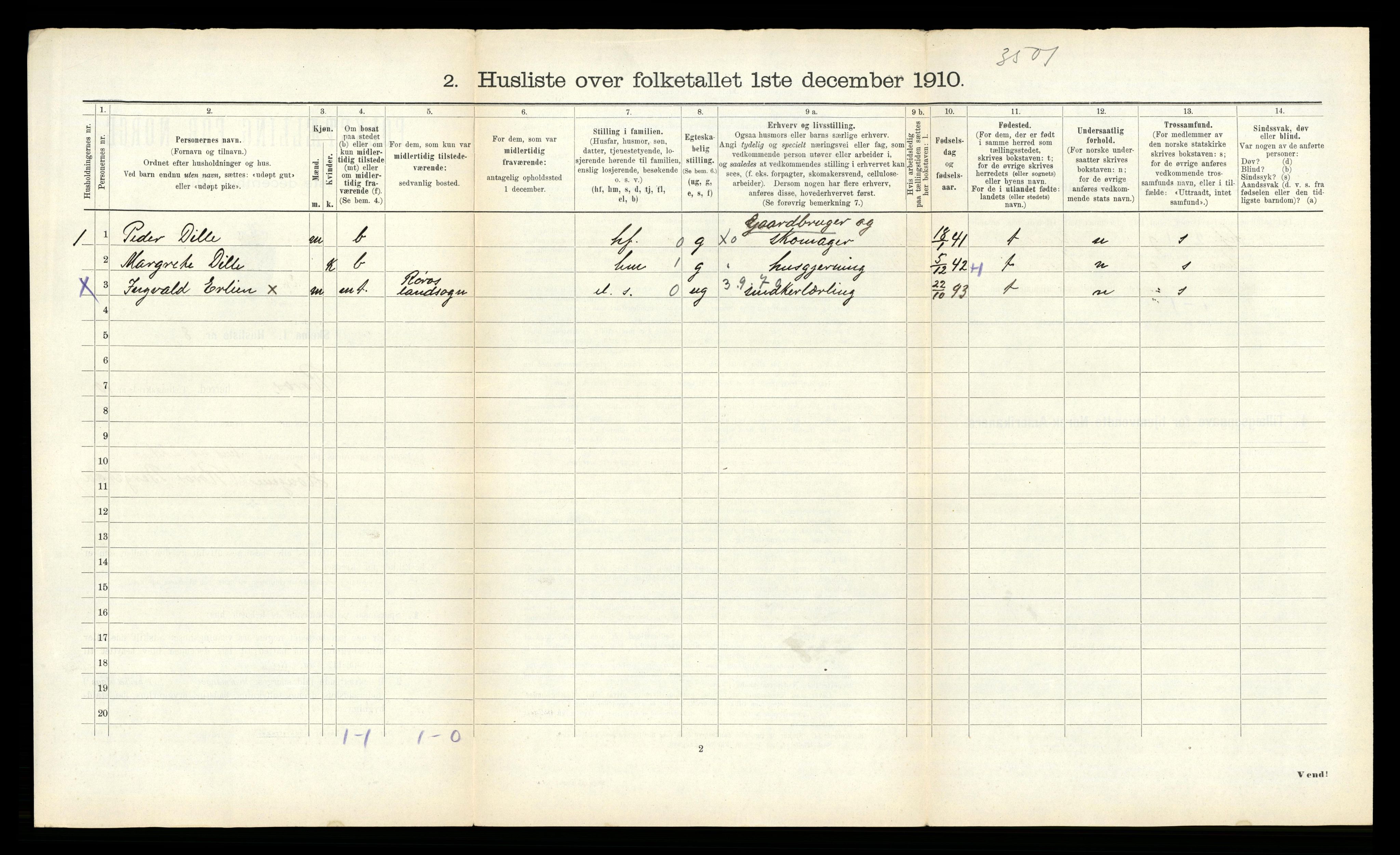 RA, 1910 census for Røros, 1910, p. 1196