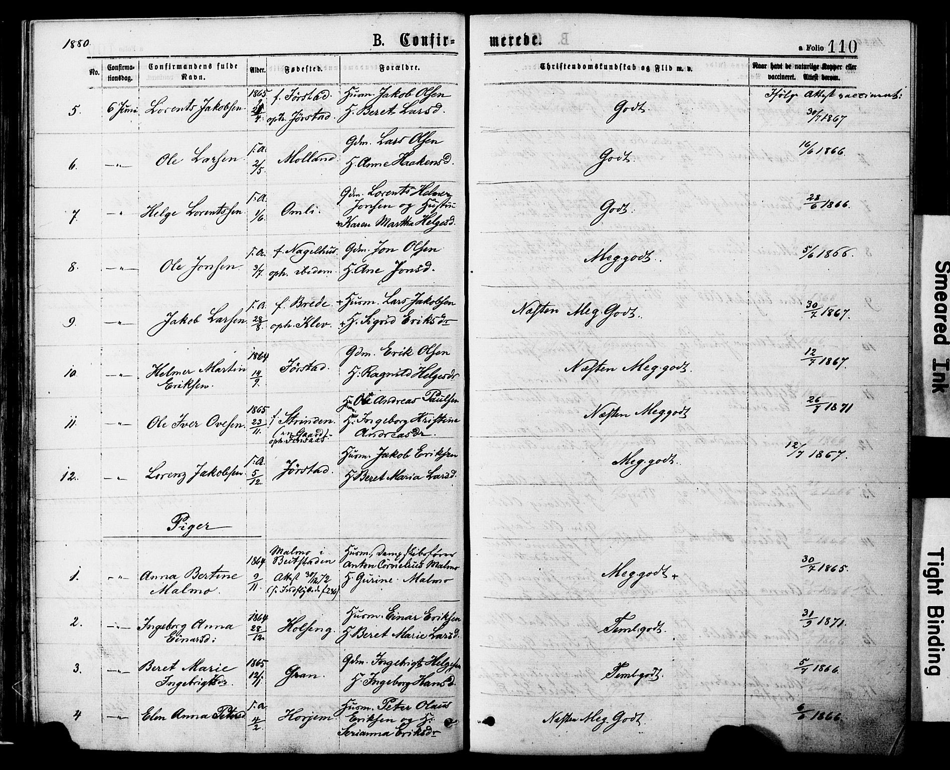 Ministerialprotokoller, klokkerbøker og fødselsregistre - Nord-Trøndelag, AV/SAT-A-1458/749/L0473: Parish register (official) no. 749A07, 1873-1887, p. 110