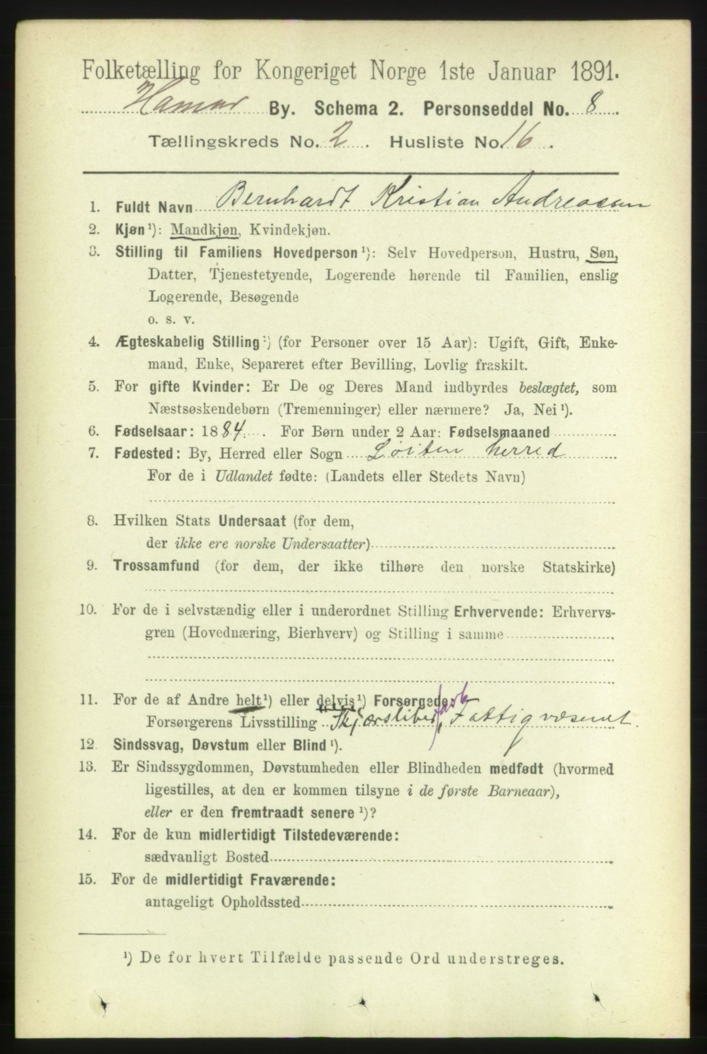 RA, 1891 census for 0401 Hamar, 1891, p. 1205