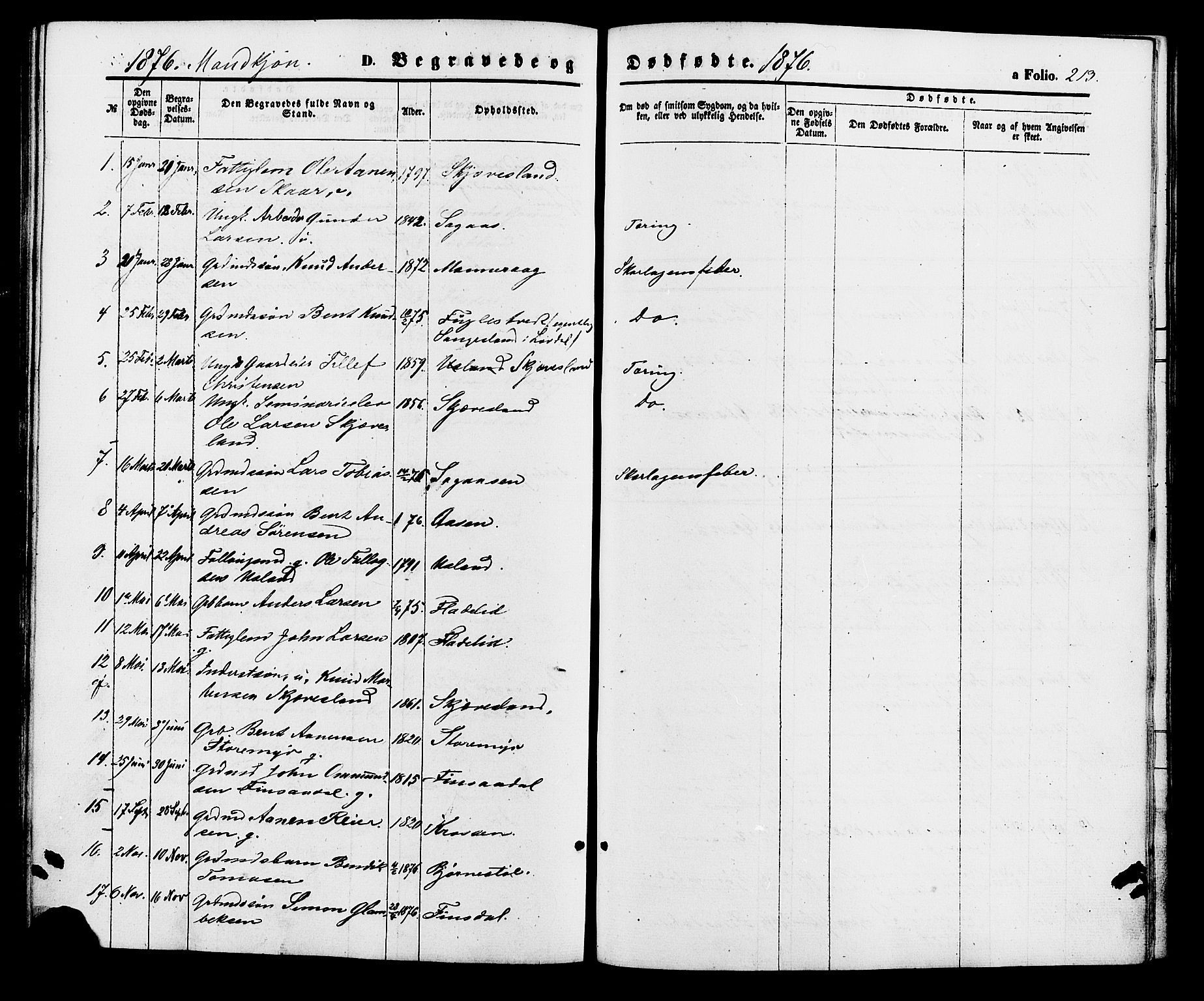 Holum sokneprestkontor, SAK/1111-0022/F/Fa/Fac/L0003: Parish register (official) no. A 3, 1860-1883, p. 213