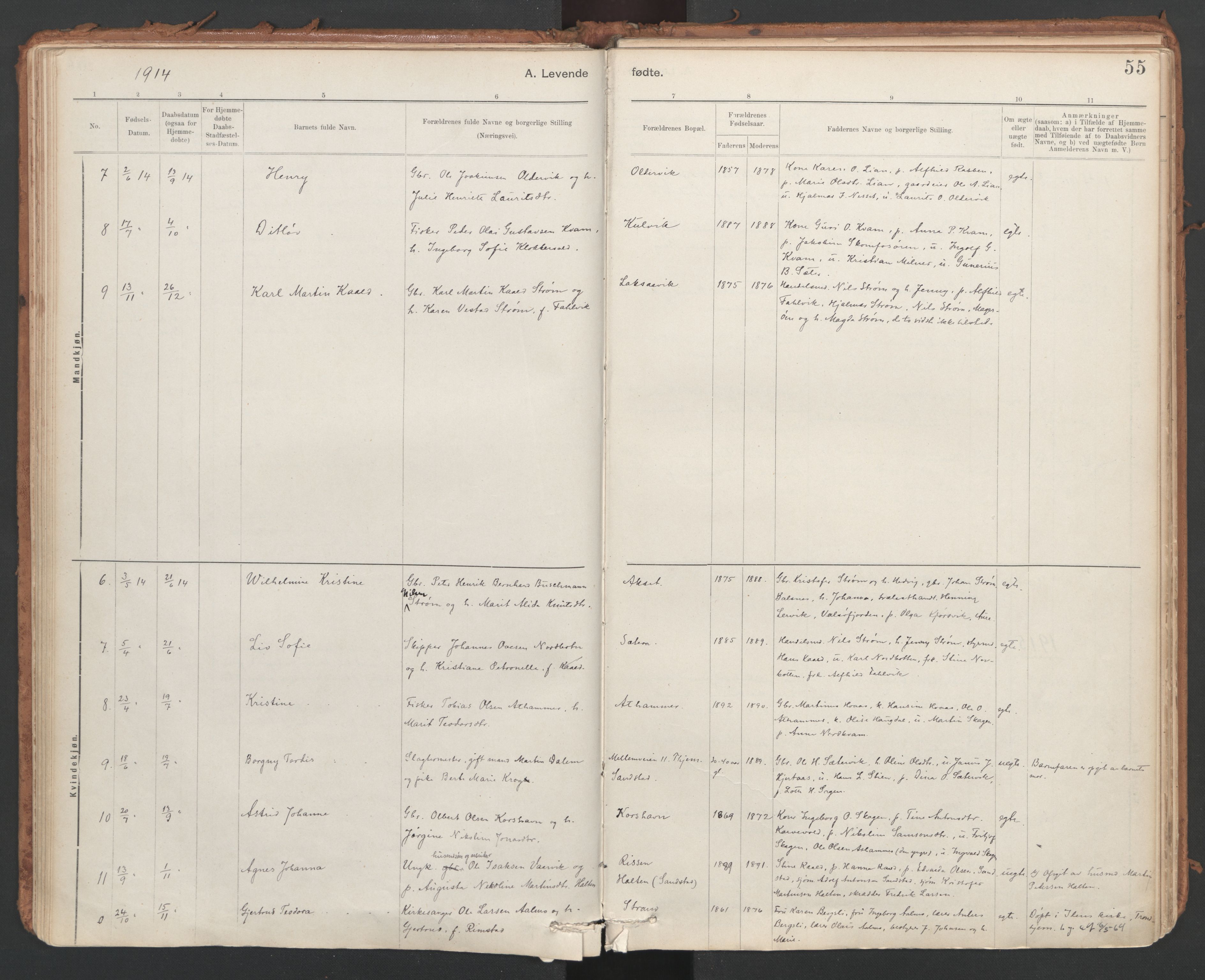 Ministerialprotokoller, klokkerbøker og fødselsregistre - Sør-Trøndelag, SAT/A-1456/639/L0572: Parish register (official) no. 639A01, 1890-1920, p. 55