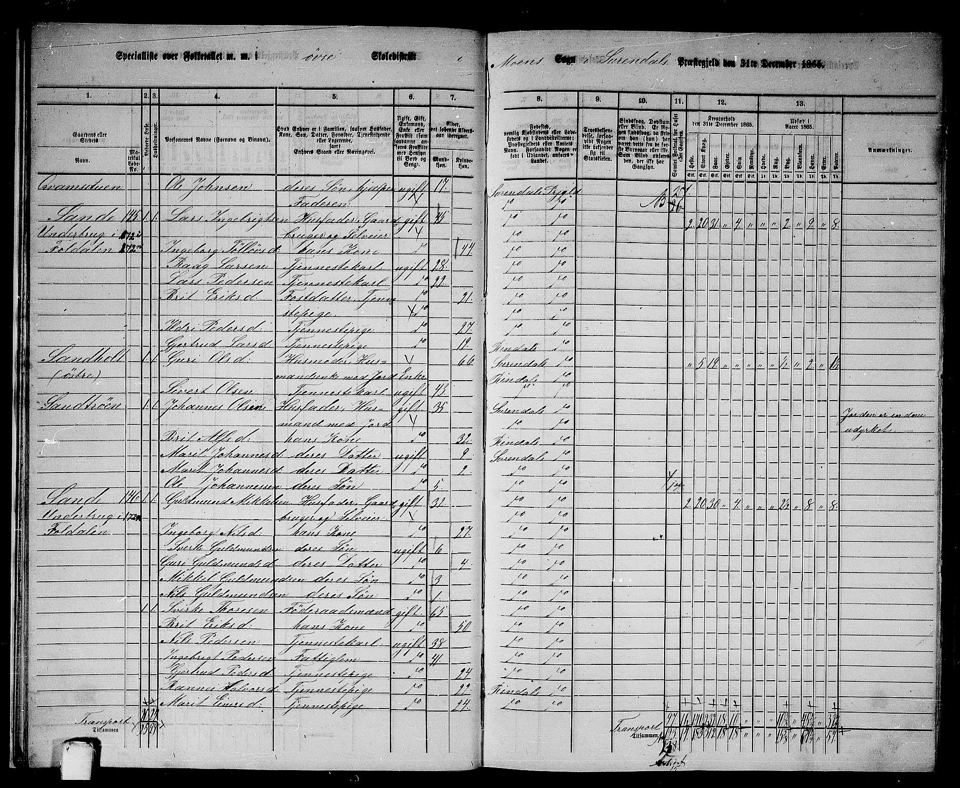 RA, 1865 census for Surnadal, 1865, p. 16