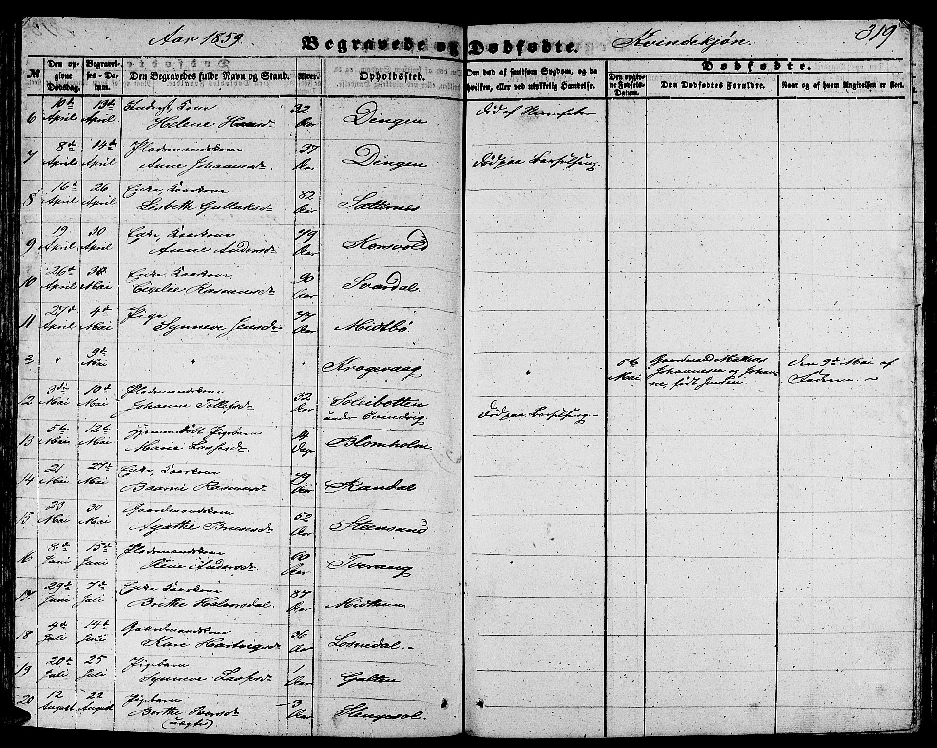 Gulen sokneprestembete, AV/SAB-A-80201/H/Hab/Habb/L0001: Parish register (copy) no. B 1, 1854-1866, p. 319