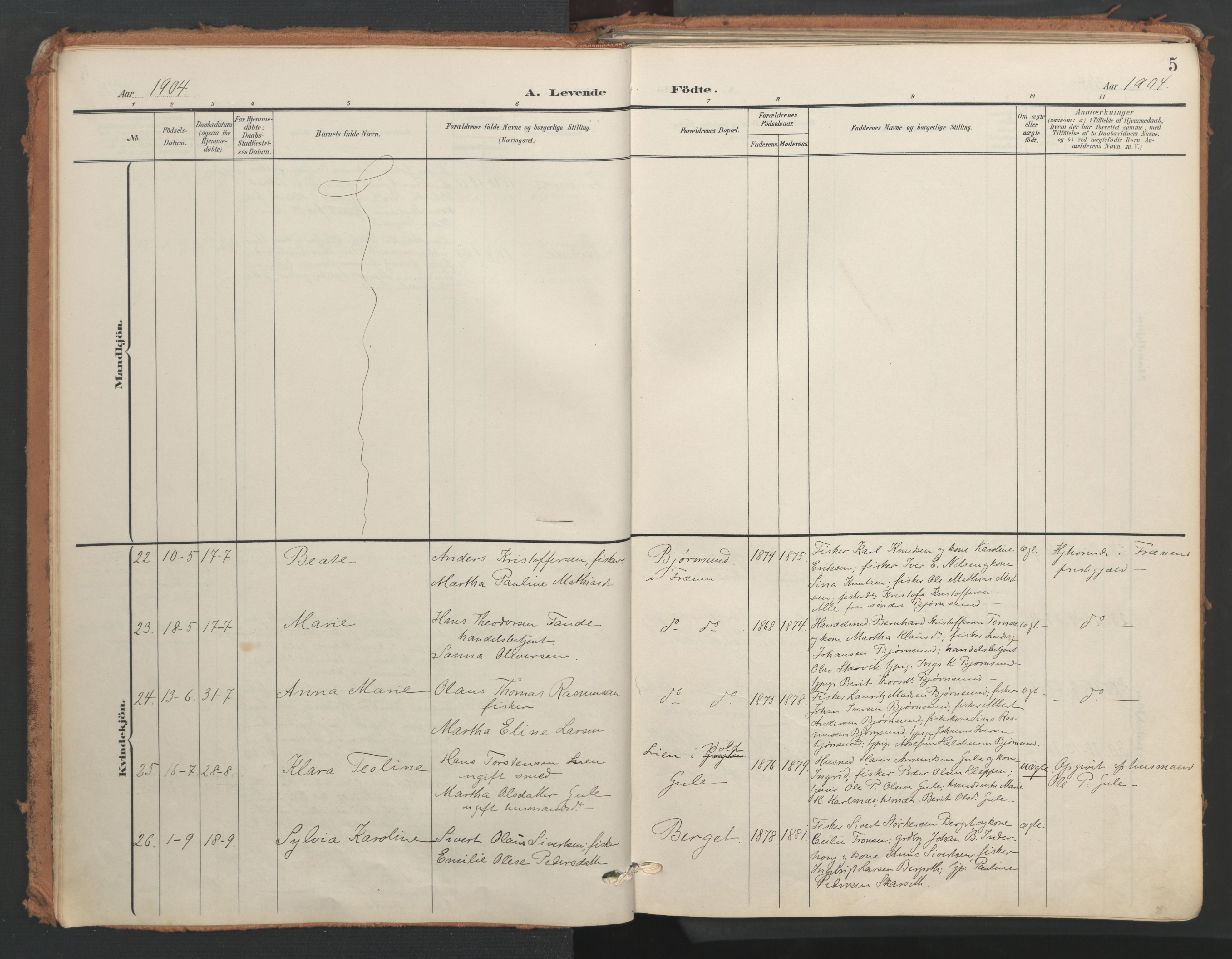 Ministerialprotokoller, klokkerbøker og fødselsregistre - Møre og Romsdal, AV/SAT-A-1454/566/L0771: Parish register (official) no. 566A10, 1904-1929, p. 5