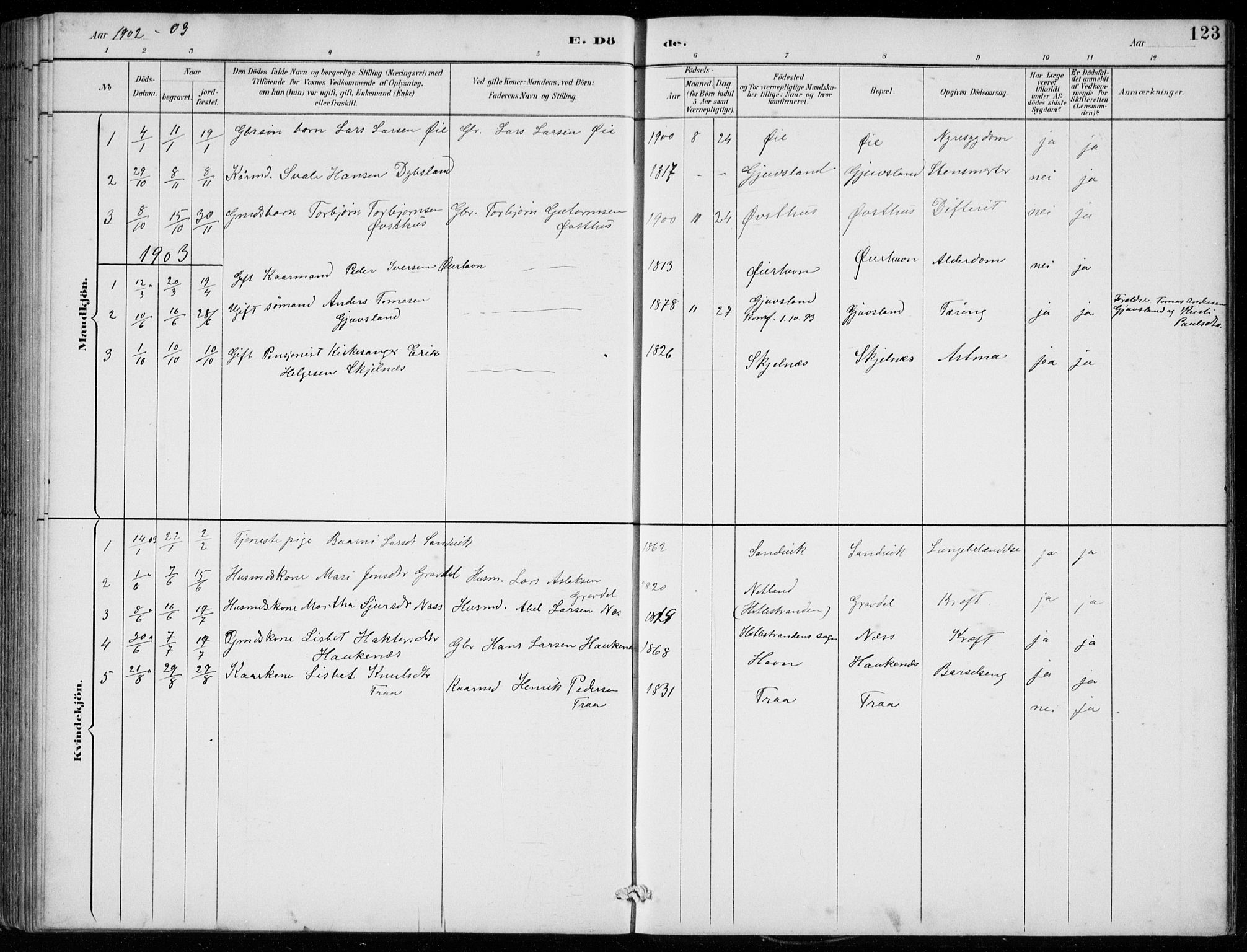 Strandebarm sokneprestembete, SAB/A-78401/H/Hab: Parish register (copy) no. C  1, 1891-1913, p. 123