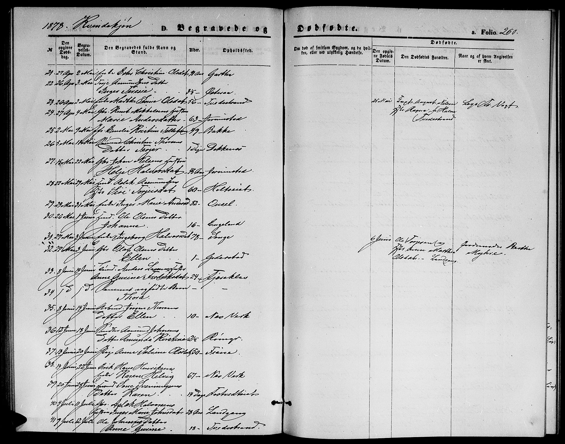 Holt sokneprestkontor, AV/SAK-1111-0021/F/Fb/L0009: Parish register (copy) no. B 9, 1871-1883, p. 260