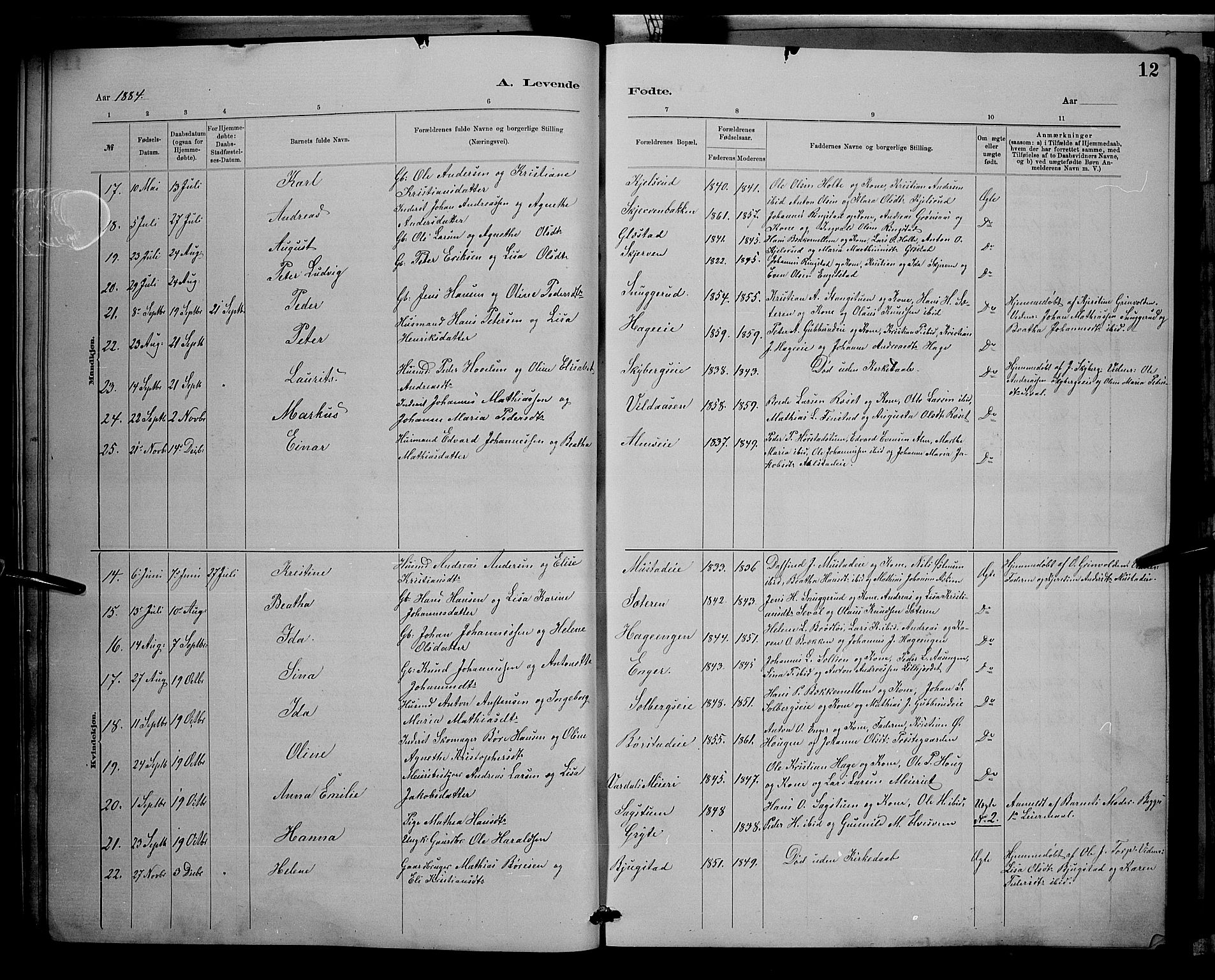 Vardal prestekontor, SAH/PREST-100/H/Ha/Hab/L0008: Parish register (copy) no. 8, 1881-1898, p. 12