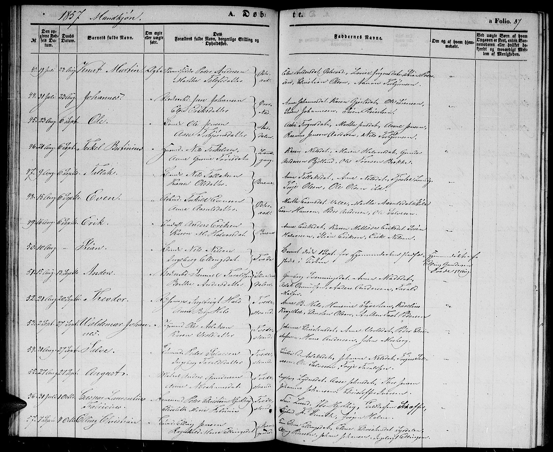 Holt sokneprestkontor, AV/SAK-1111-0021/F/Fb/L0007: Parish register (copy) no. B 7, 1849-1858, p. 87