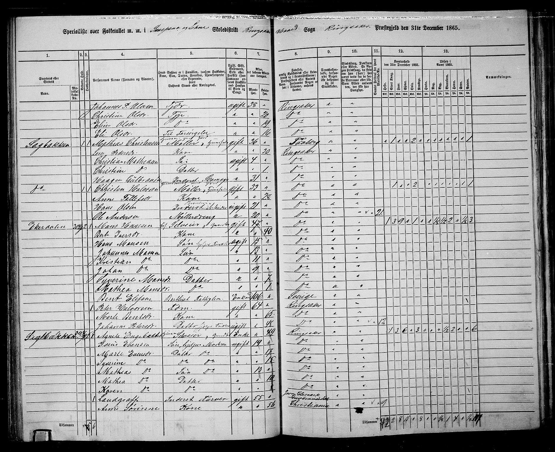 RA, 1865 census for Ringsaker, 1865, p. 117