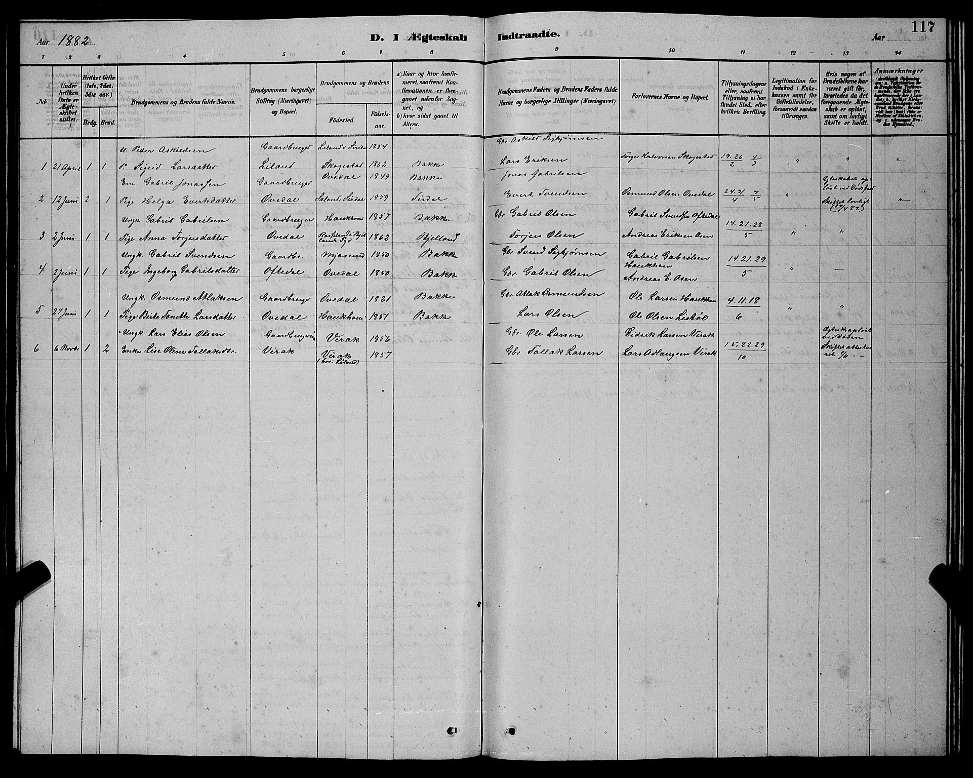 Bakke sokneprestkontor, SAK/1111-0002/F/Fb/Fba/L0002: Parish register (copy) no. B 2, 1879-1893, p. 117