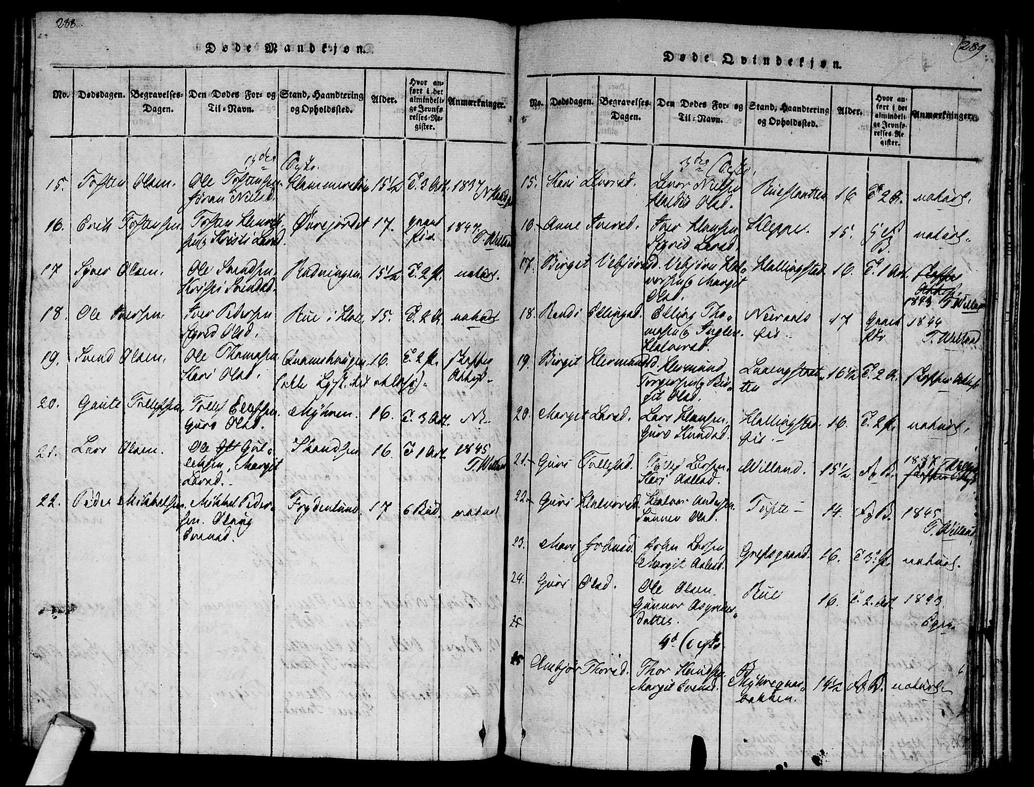 Ål kirkebøker, AV/SAKO-A-249/F/Fa/L0004: Parish register (official) no. I 4, 1815-1825, p. 288-289