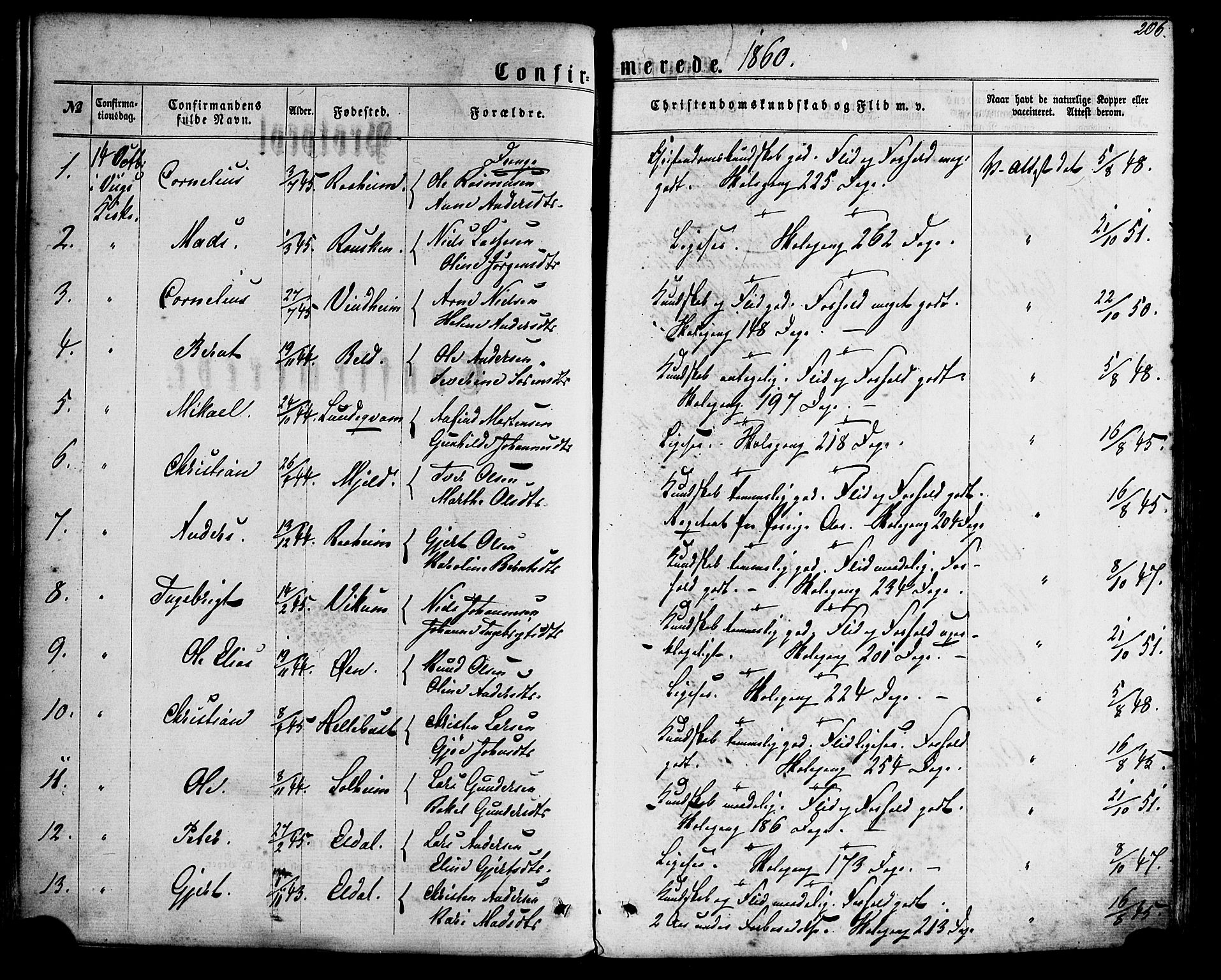 Gaular sokneprestembete, SAB/A-80001/H/Haa: Parish register (official) no. A 5, 1860-1881, p. 206