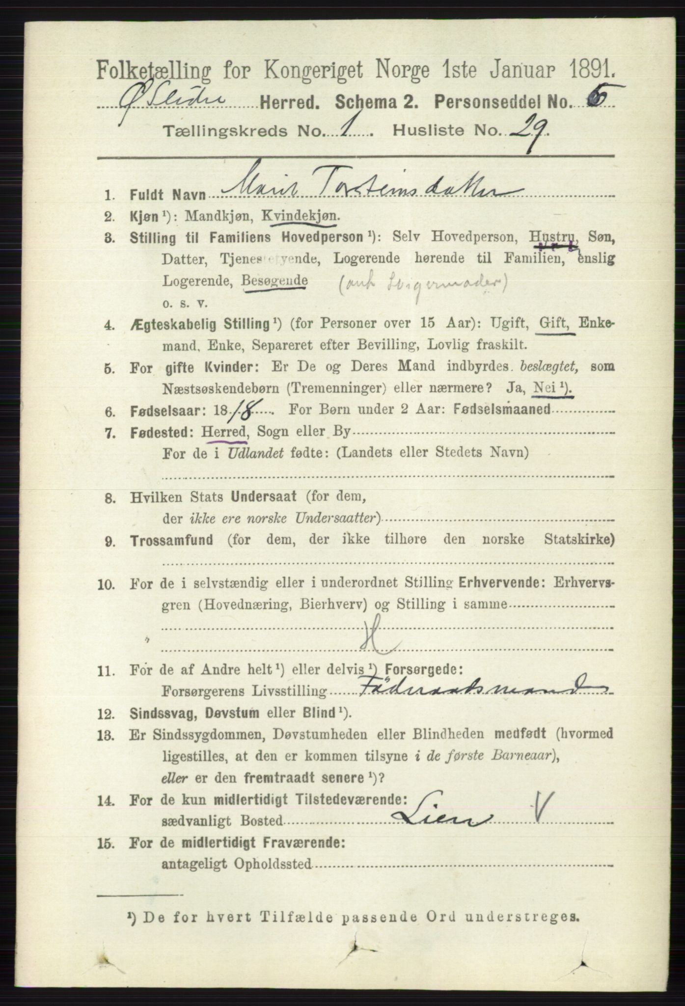 RA, 1891 census for 0544 Øystre Slidre, 1891, p. 217