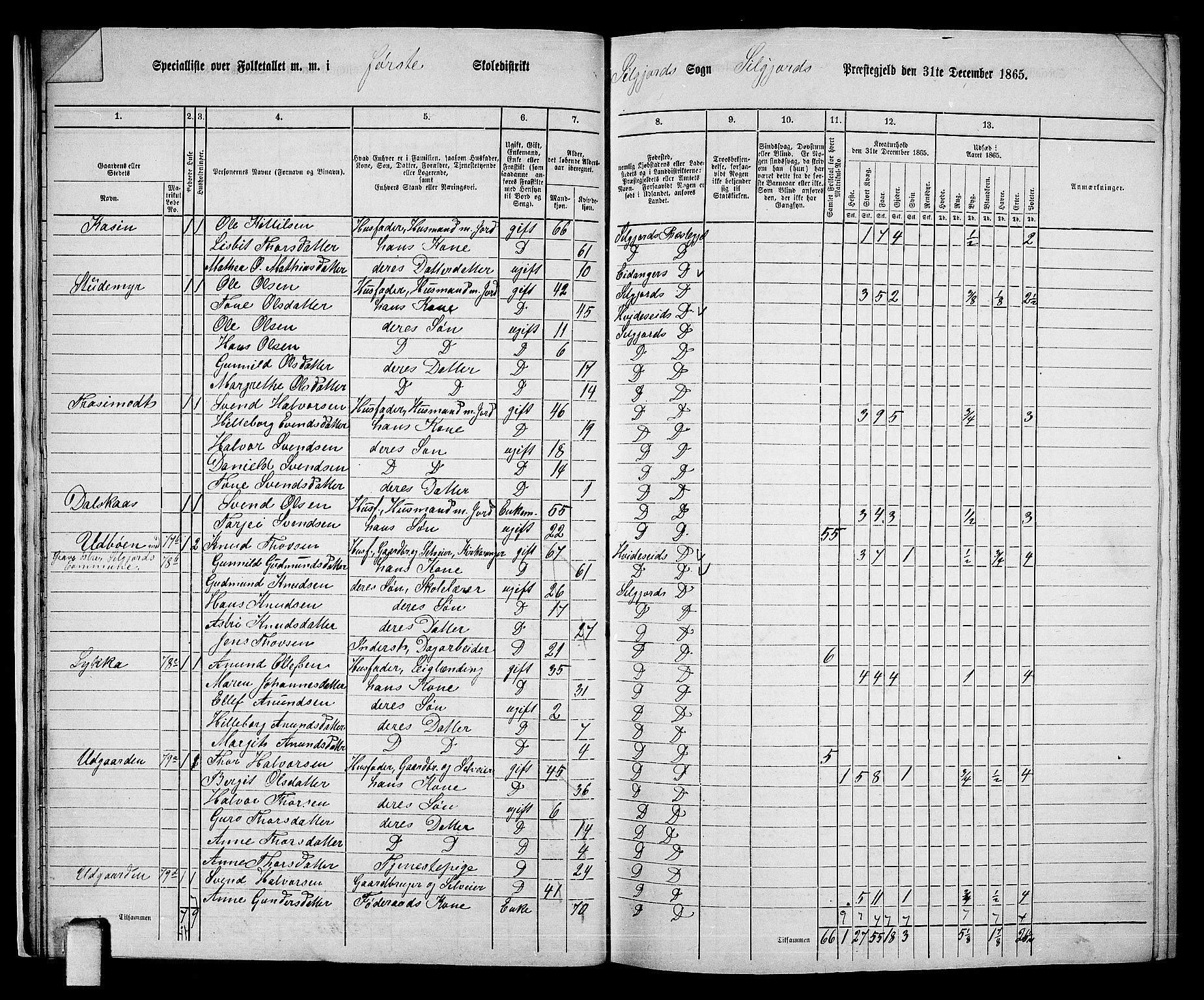 RA, 1865 census for Seljord, 1865, p. 20