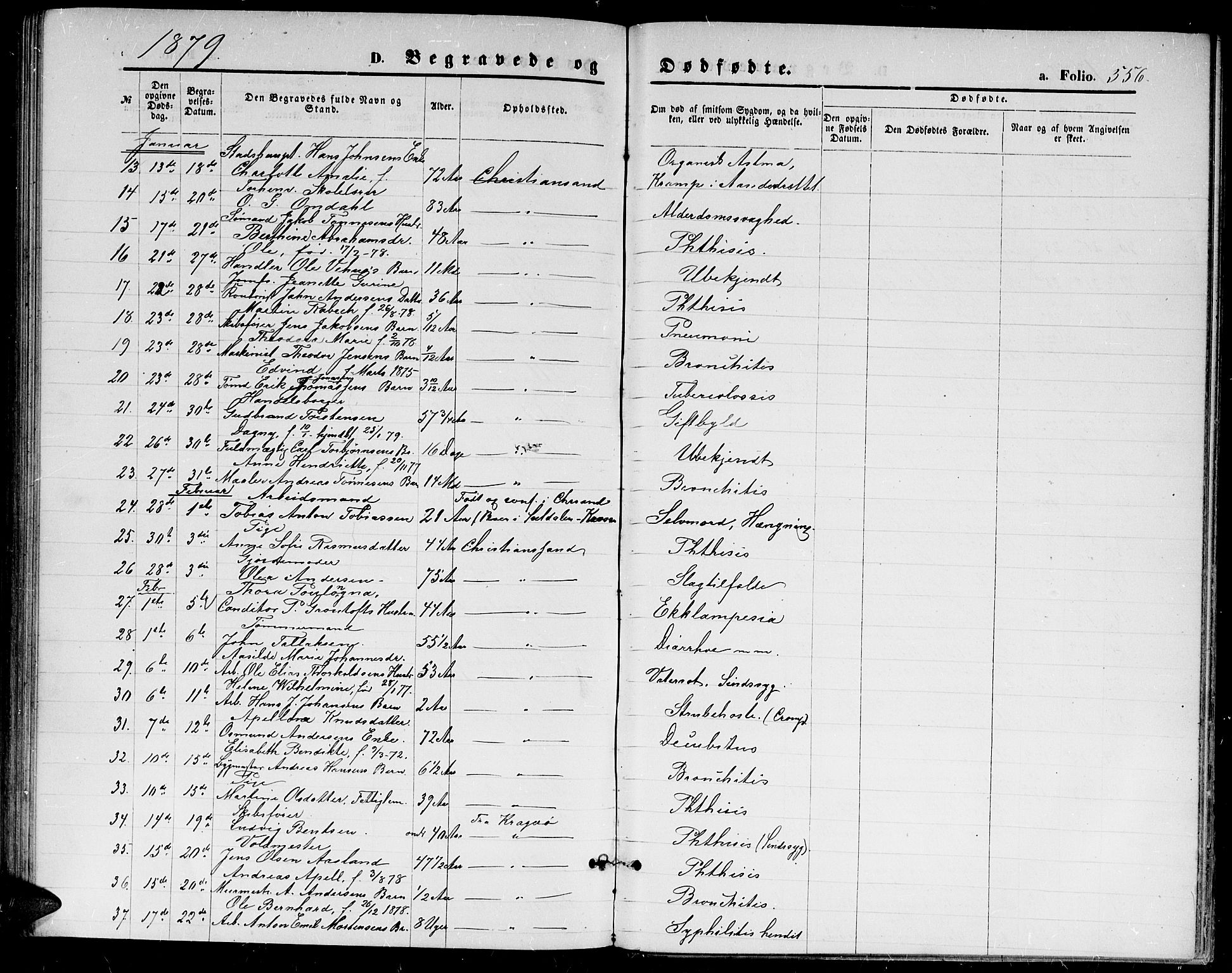 Kristiansand domprosti, AV/SAK-1112-0006/F/Fb/L0013: Parish register (copy) no. B 13, 1871-1880, p. 556