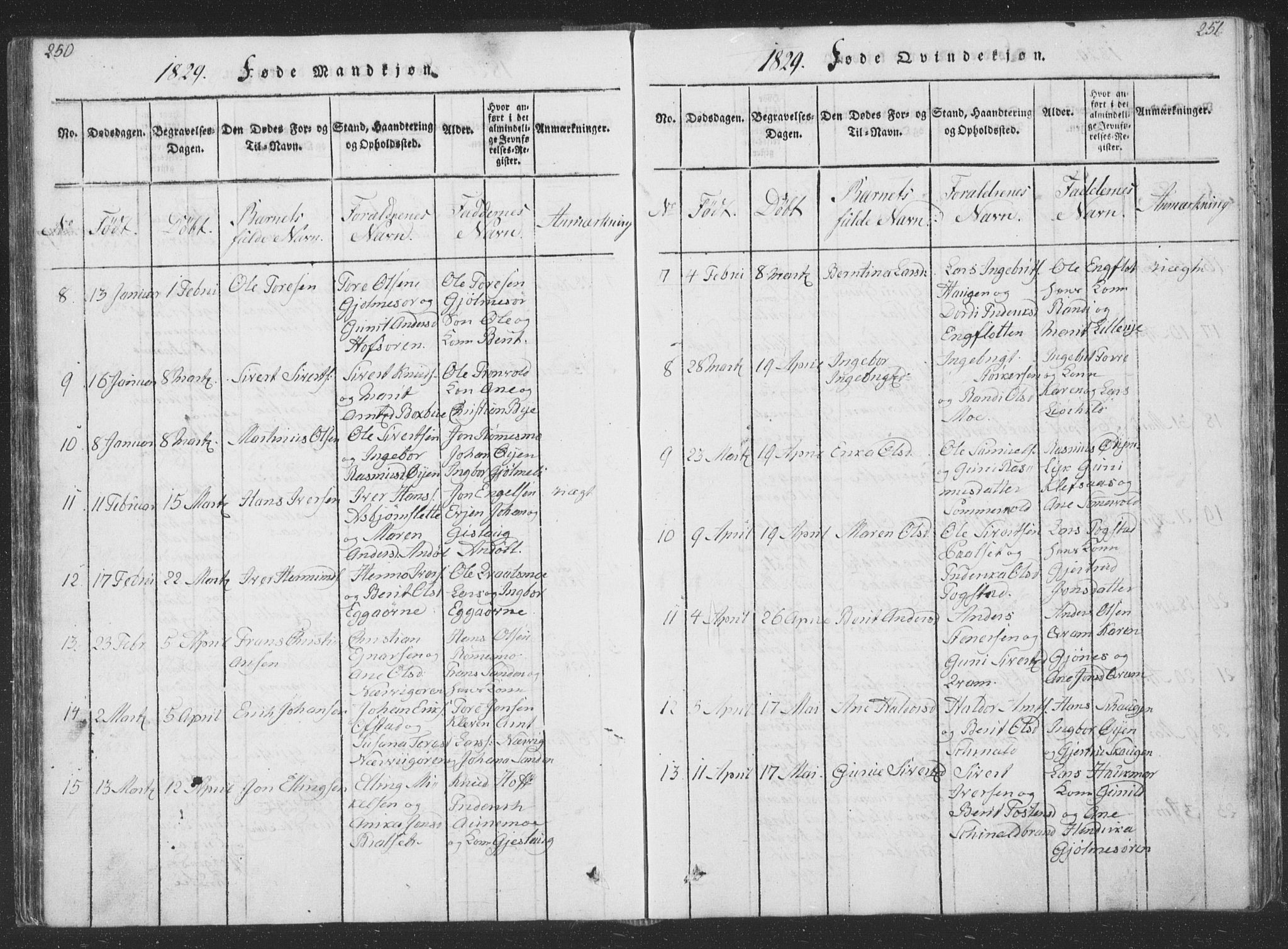 Ministerialprotokoller, klokkerbøker og fødselsregistre - Sør-Trøndelag, SAT/A-1456/668/L0816: Parish register (copy) no. 668C05, 1816-1893, p. 250-251