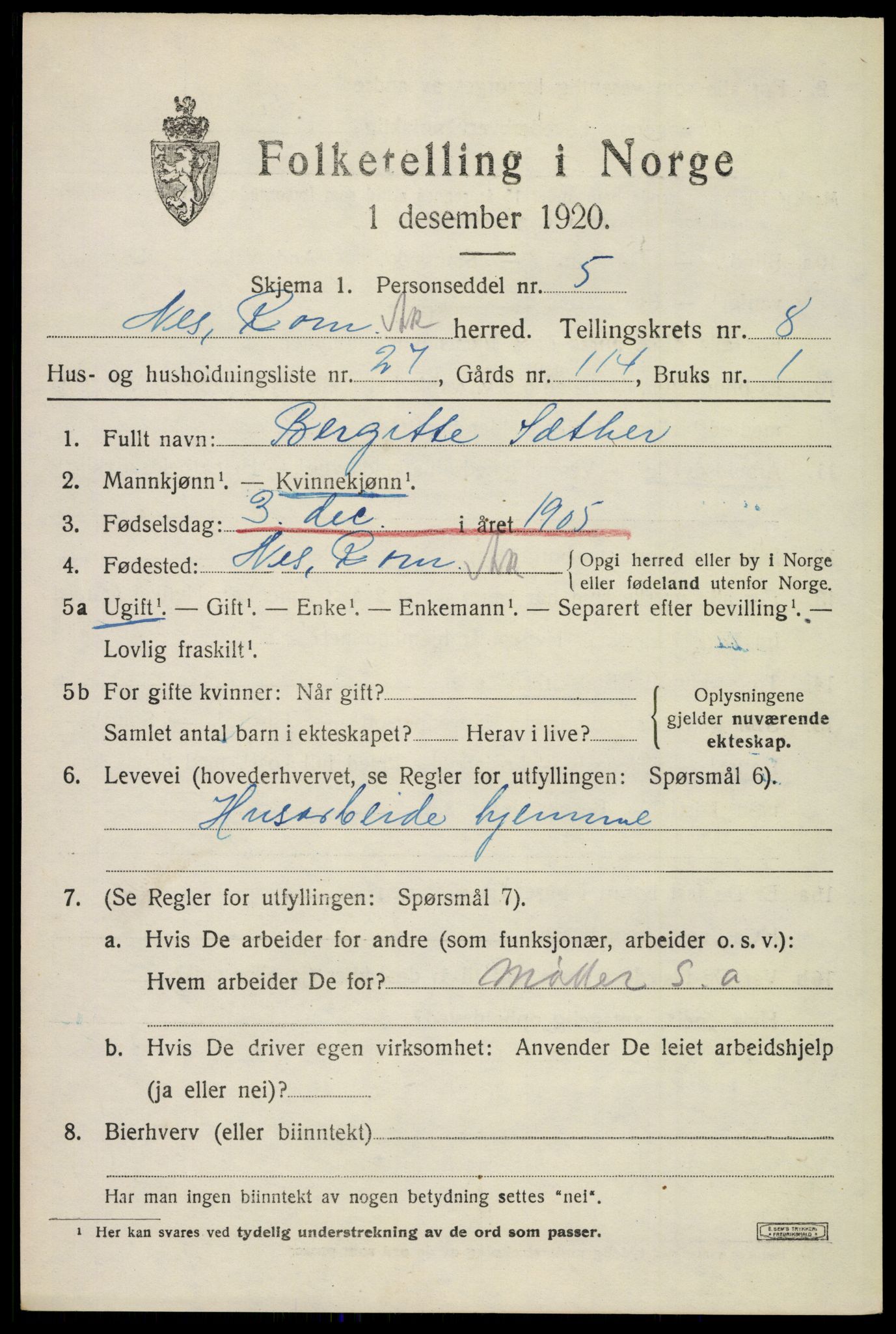 SAO, 1920 census for Nes, 1920, p. 9662