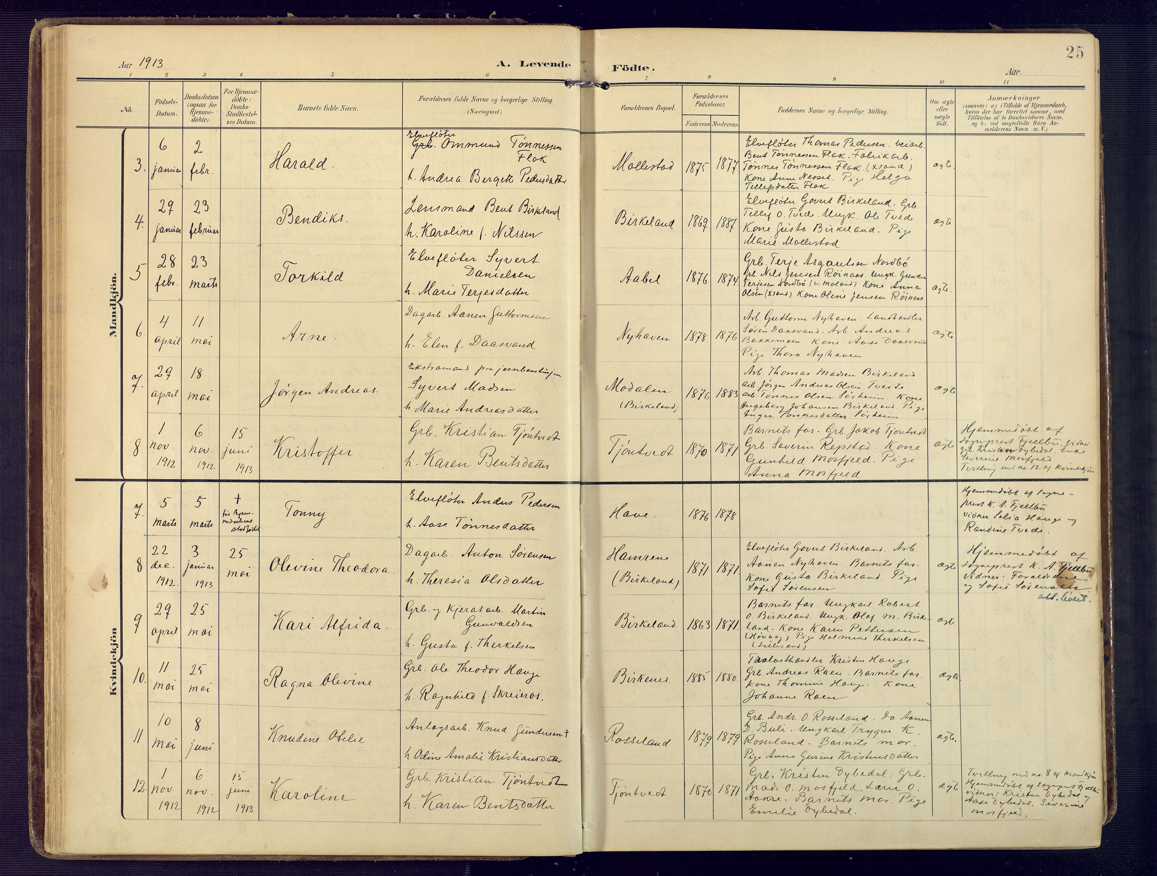 Birkenes sokneprestkontor, AV/SAK-1111-0004/F/Fa/L0006: Parish register (official) no. A 6, 1908-1932, p. 25
