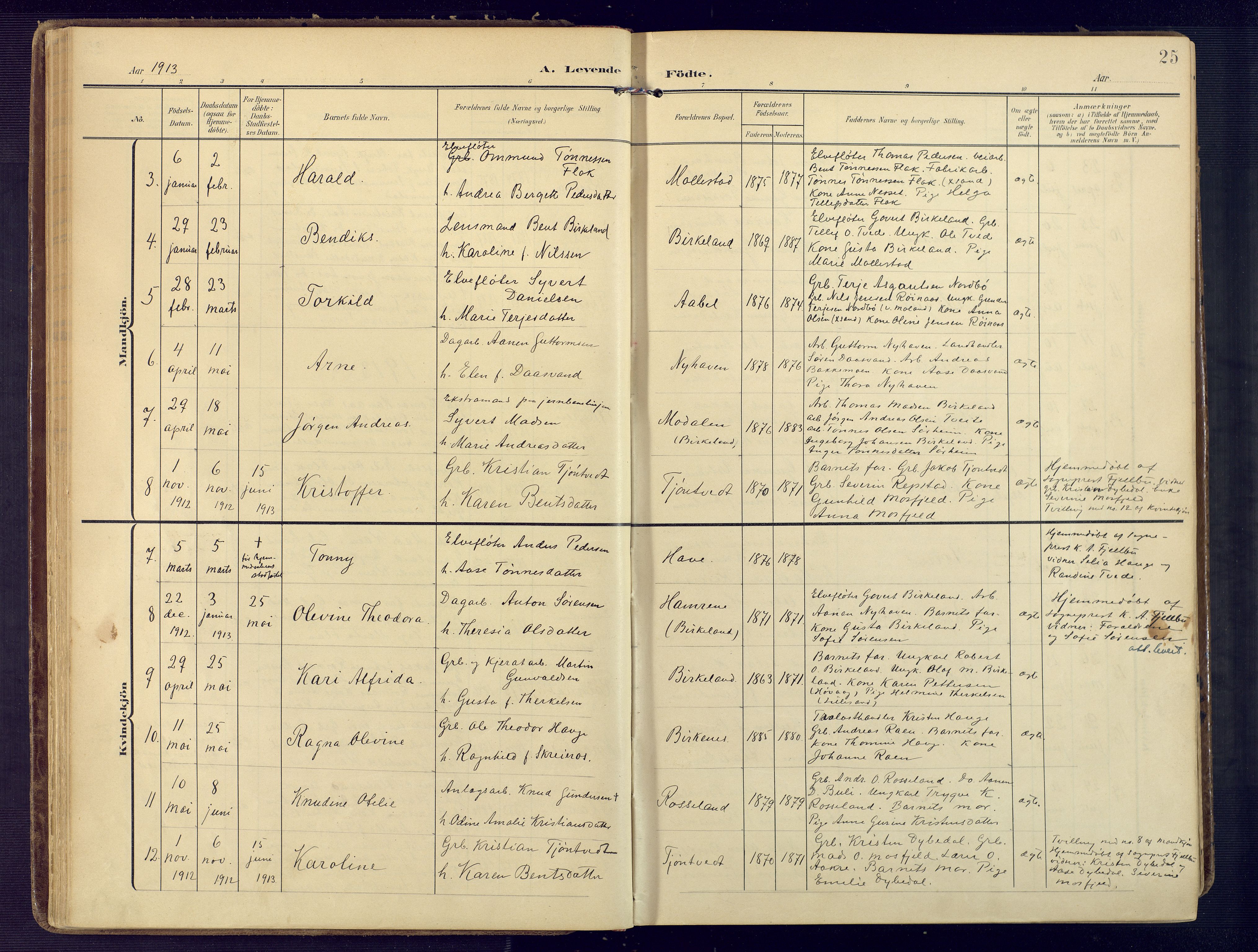 Birkenes sokneprestkontor, SAK/1111-0004/F/Fa/L0006: Parish register (official) no. A 6, 1908-1932, p. 25