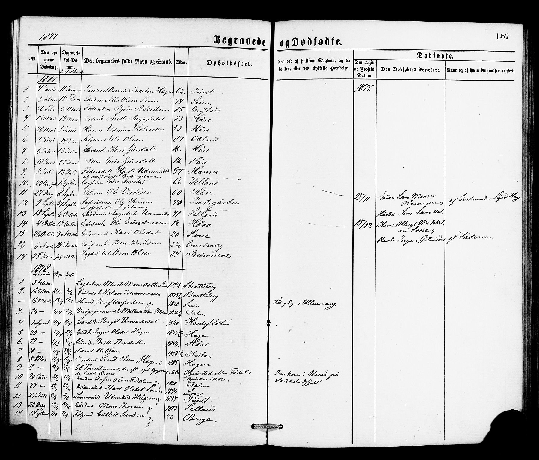 Røldal sokneprestembete, SAB/A-100247: Parish register (official) no. A 4, 1870-1886, p. 157