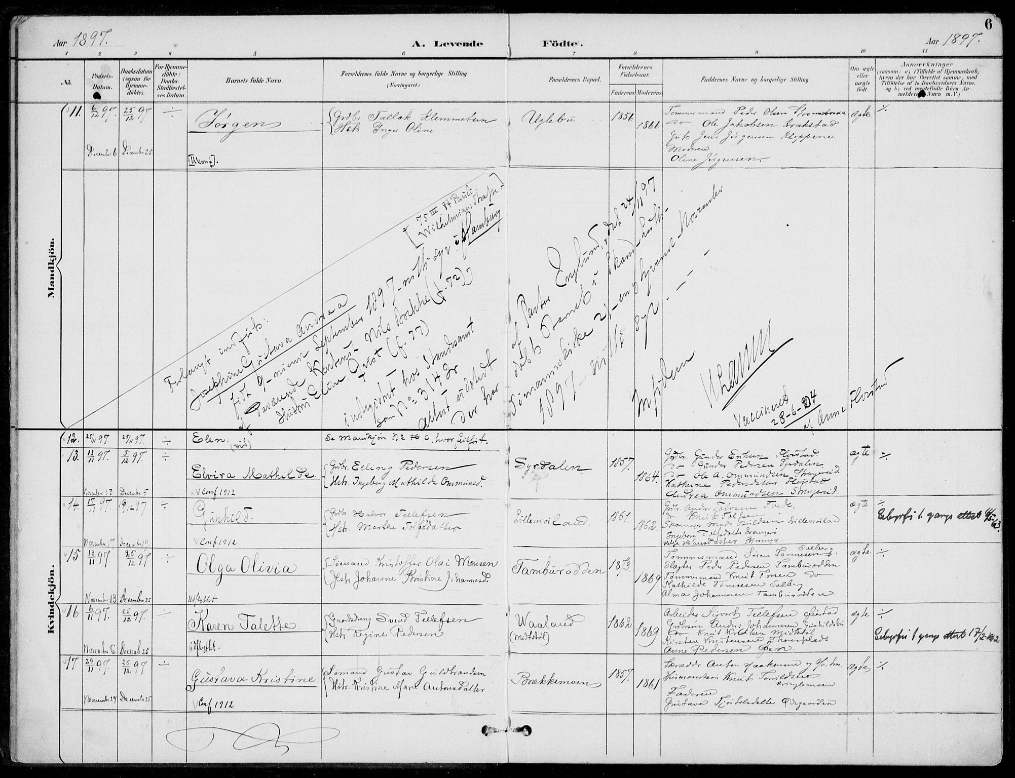 Austre Moland sokneprestkontor, AV/SAK-1111-0001/F/Fa/Faa/L0011: Parish register (official) no. A 11, 1894-1915, p. 6