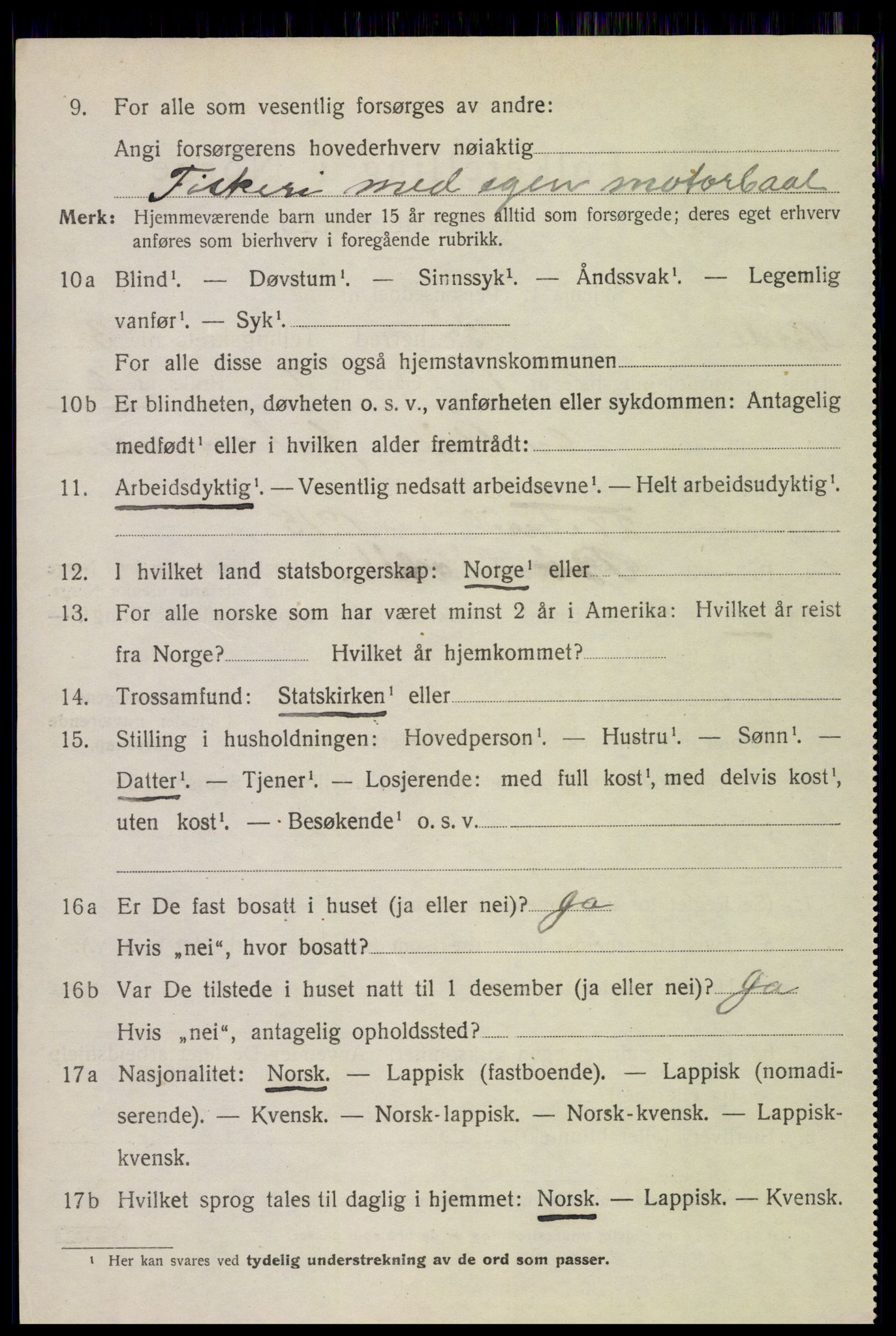 SAT, 1920 census for Bø, 1920, p. 2667