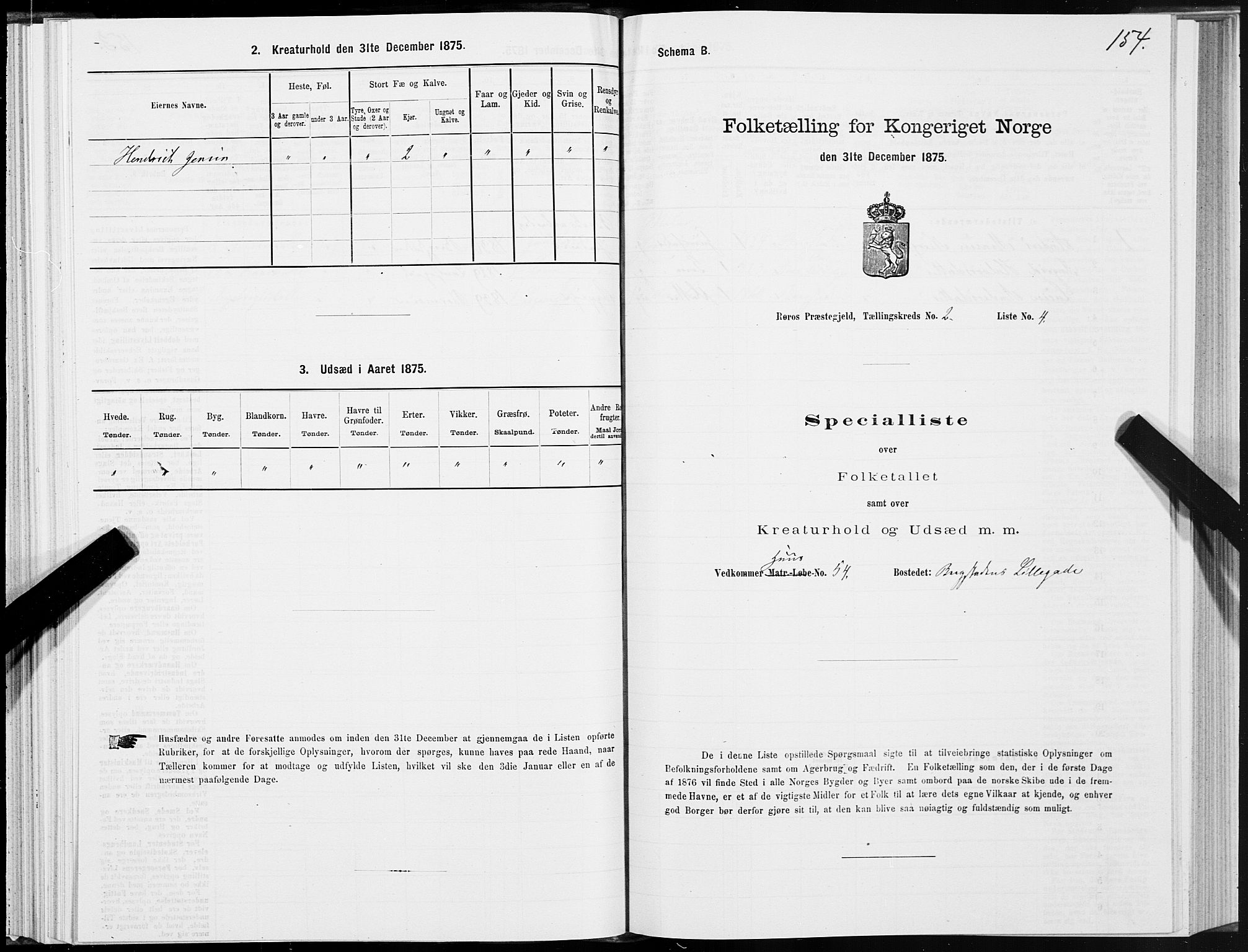 SAT, 1875 census for 1640P Røros, 1875, p. 1154