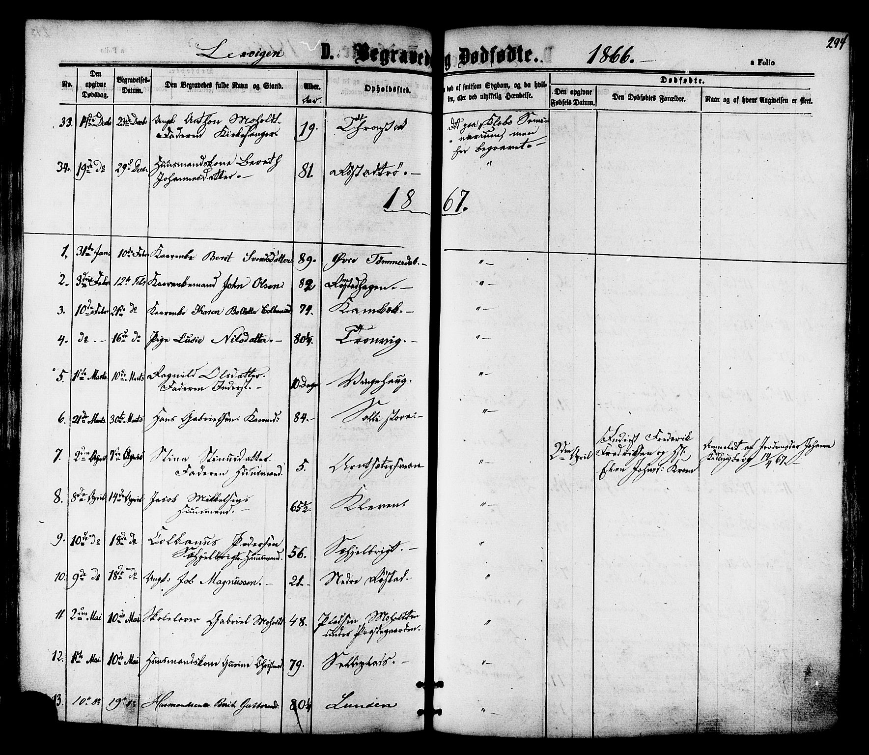 Ministerialprotokoller, klokkerbøker og fødselsregistre - Nord-Trøndelag, SAT/A-1458/701/L0009: Parish register (official) no. 701A09 /1, 1864-1882, p. 294