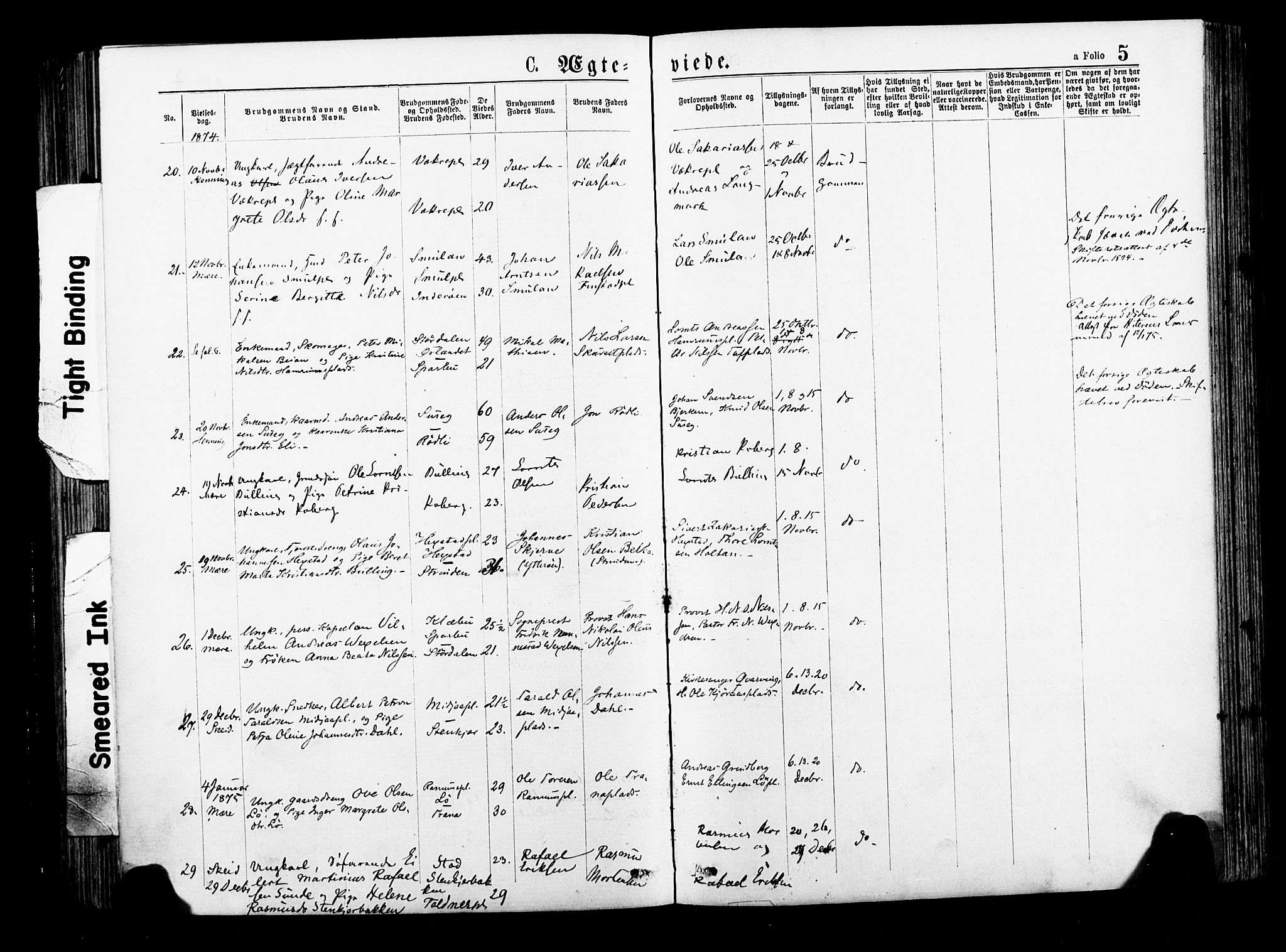 Ministerialprotokoller, klokkerbøker og fødselsregistre - Nord-Trøndelag, AV/SAT-A-1458/735/L0348: Parish register (official) no. 735A09 /1, 1873-1883, p. 5