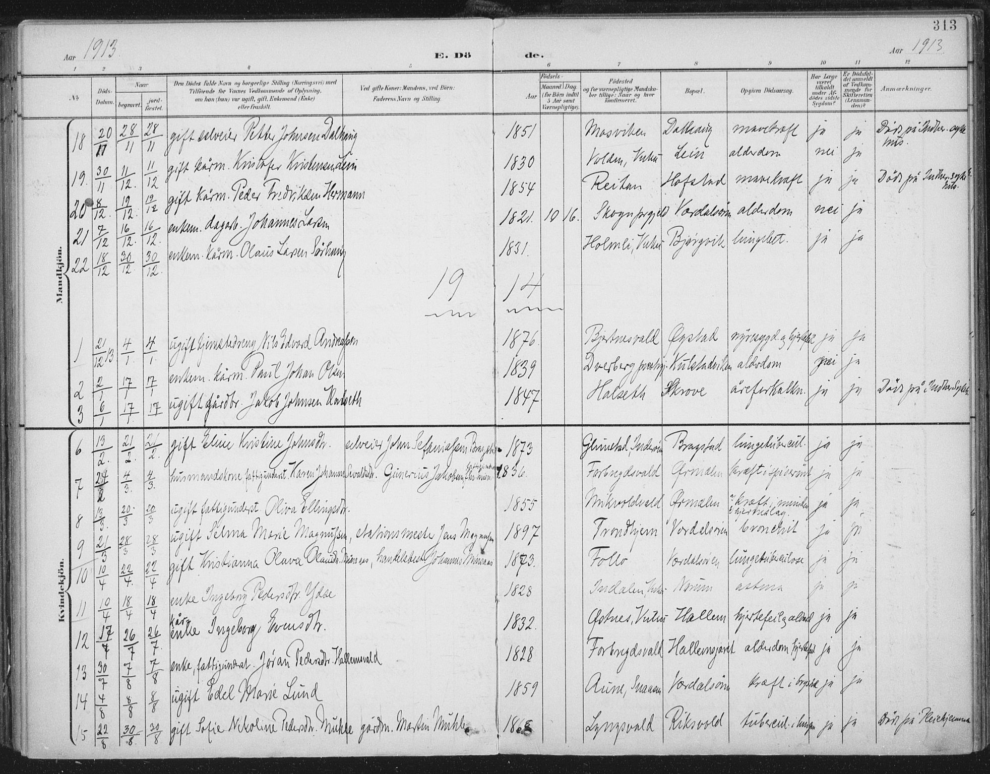 Ministerialprotokoller, klokkerbøker og fødselsregistre - Nord-Trøndelag, SAT/A-1458/723/L0246: Parish register (official) no. 723A15, 1900-1917, p. 313