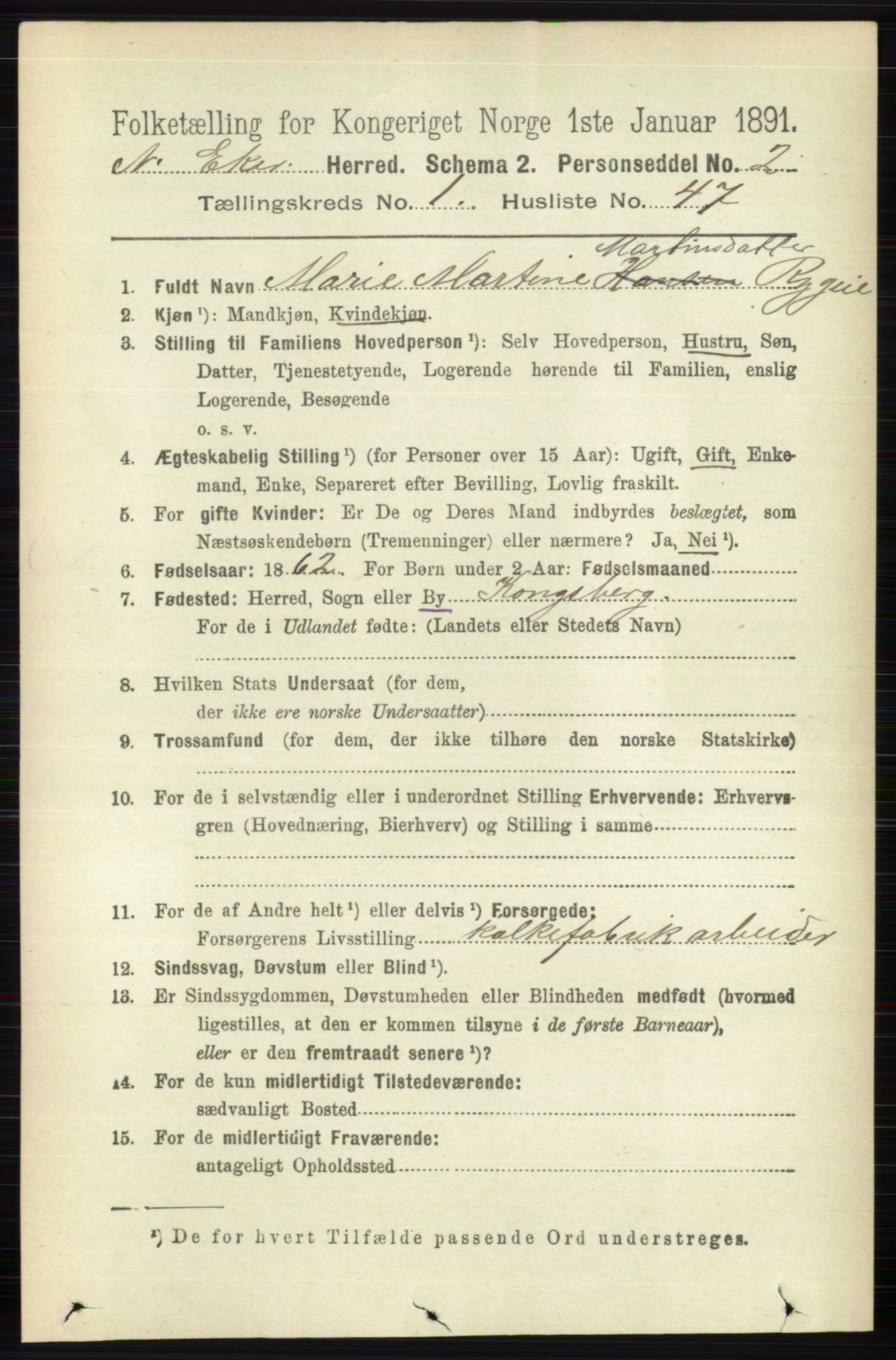 RA, 1891 census for 0625 Nedre Eiker, 1891, p. 335