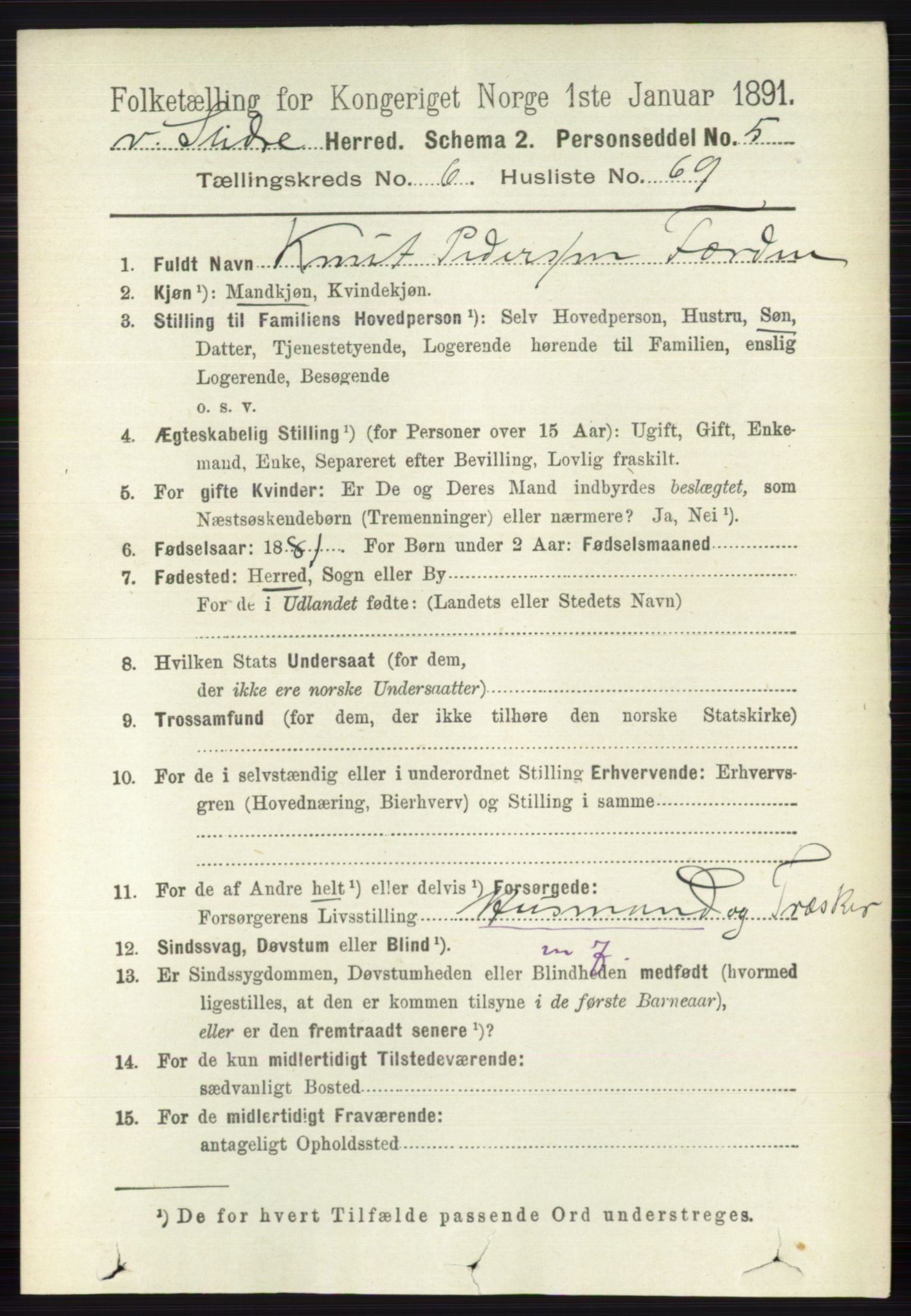 RA, 1891 census for 0543 Vestre Slidre, 1891, p. 2492