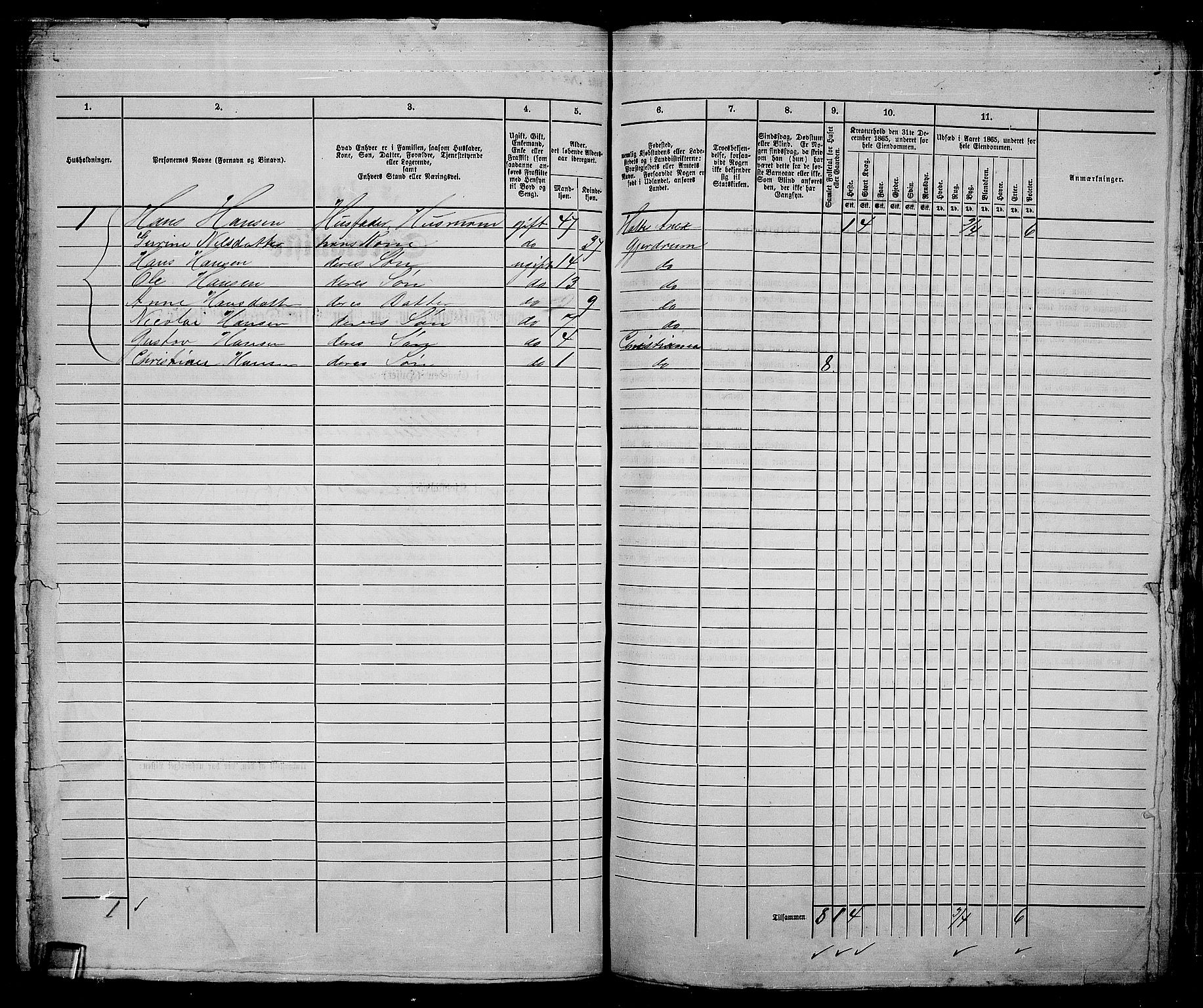 RA, 1865 census for Kristiania, 1865, p. 5258