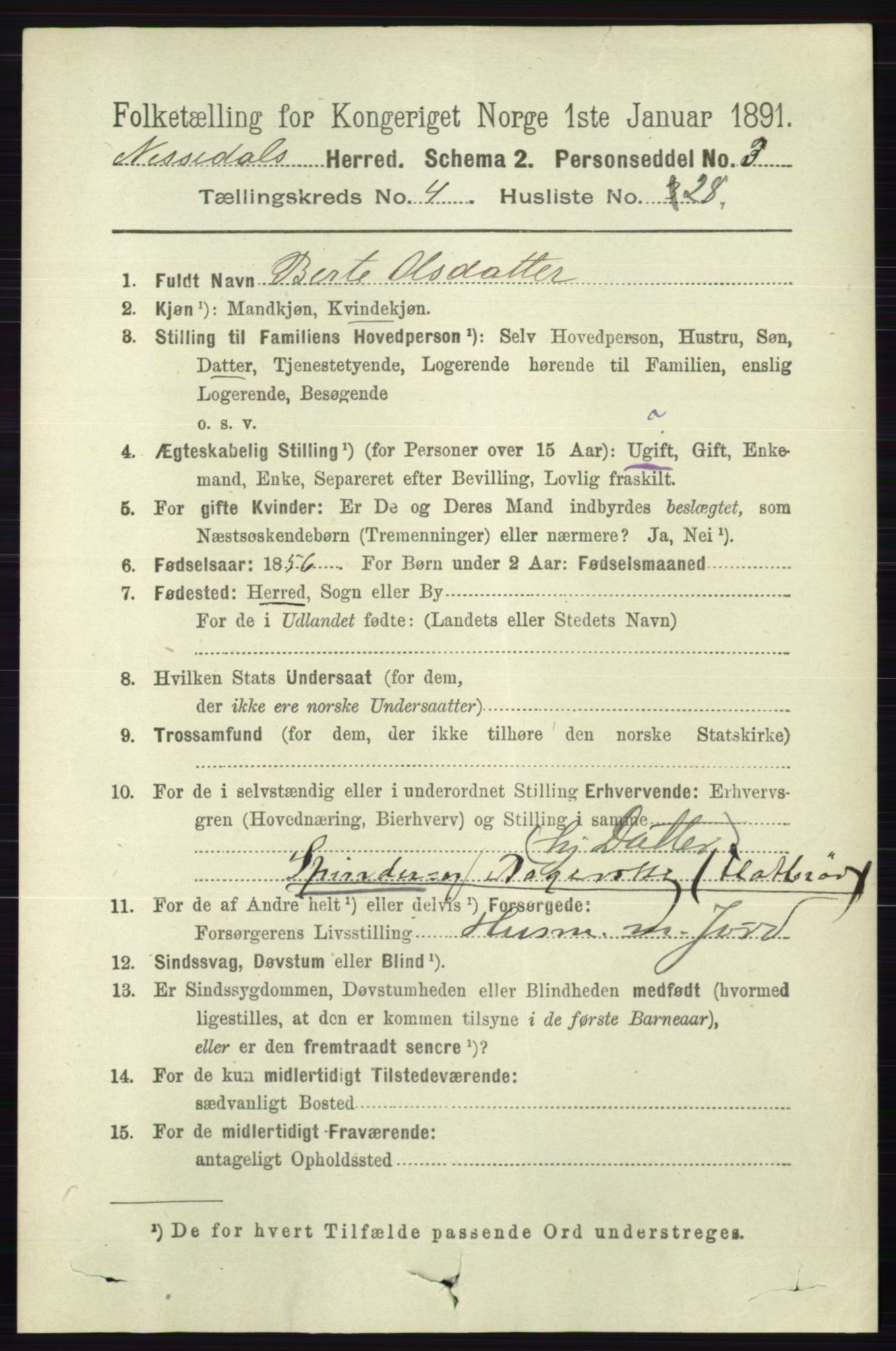 RA, 1891 census for 0830 Nissedal, 1891, p. 1054