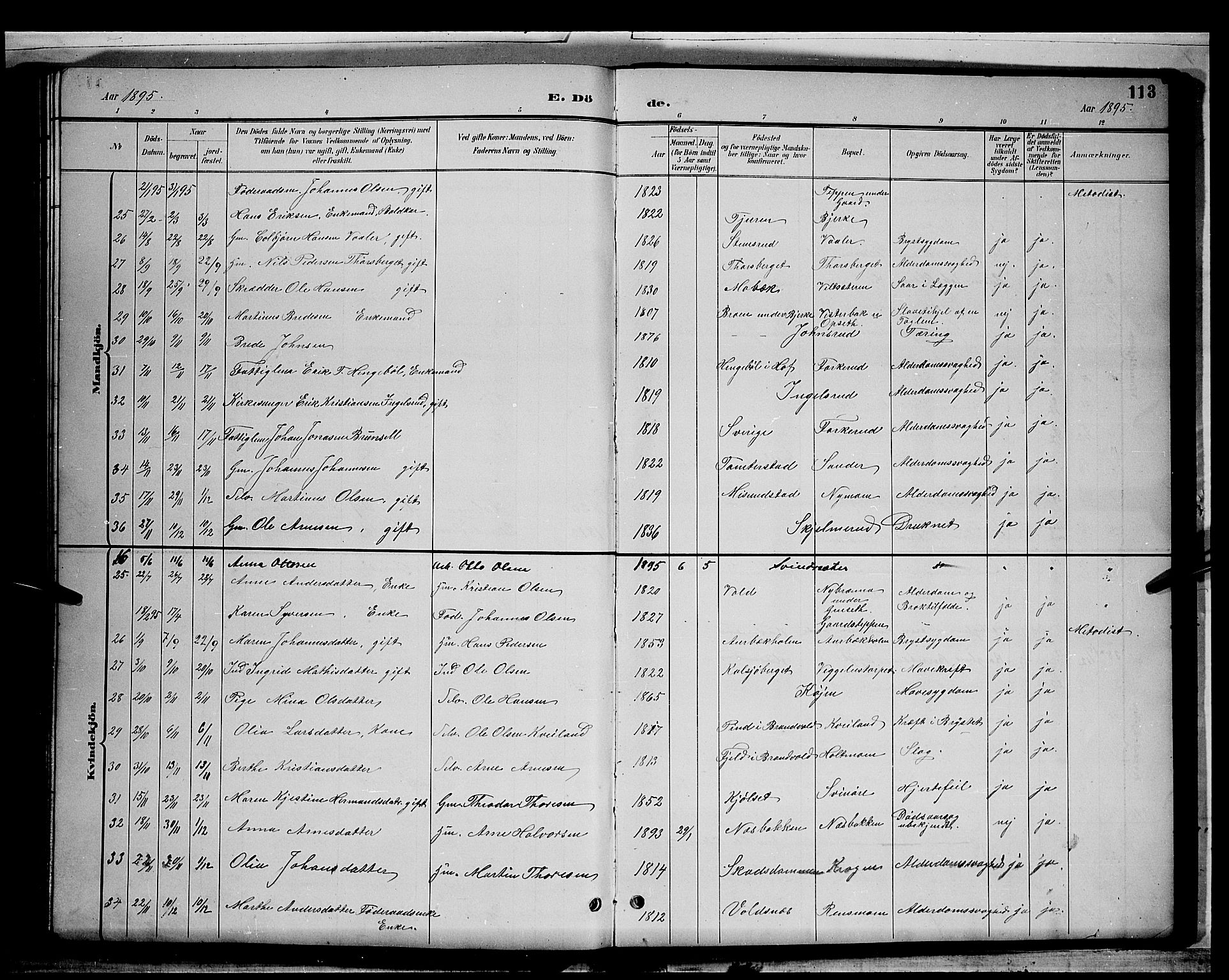 Grue prestekontor, AV/SAH-PREST-036/H/Ha/Hab/L0003: Parish register (copy) no. 3, 1895-1899, p. 113