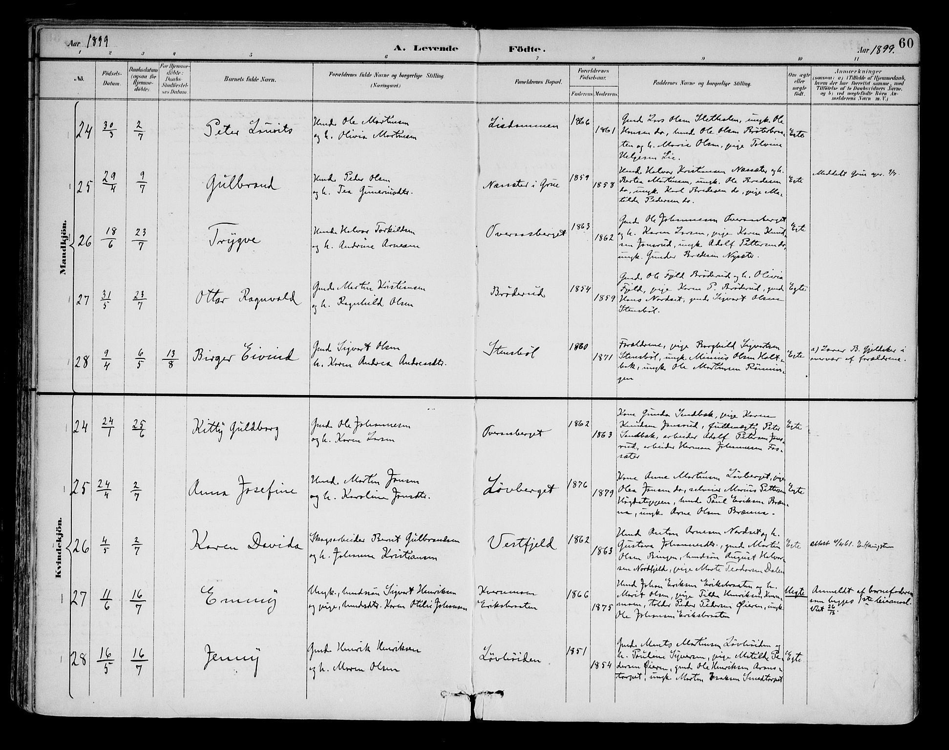 Brandval prestekontor, AV/SAH-PREST-034/H/Ha/Haa/L0003: Parish register (official) no. 3, 1894-1909, p. 60