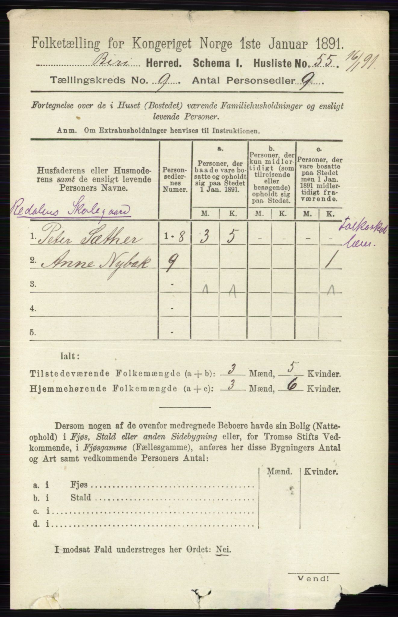 RA, 1891 census for 0525 Biri, 1891, p. 3384