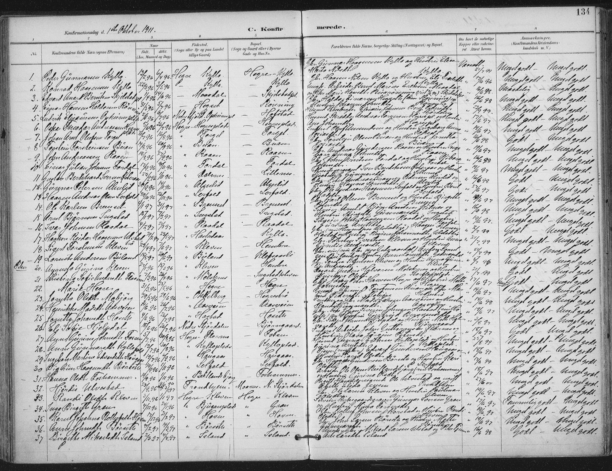 Ministerialprotokoller, klokkerbøker og fødselsregistre - Nord-Trøndelag, SAT/A-1458/703/L0031: Parish register (official) no. 703A04, 1893-1914, p. 134