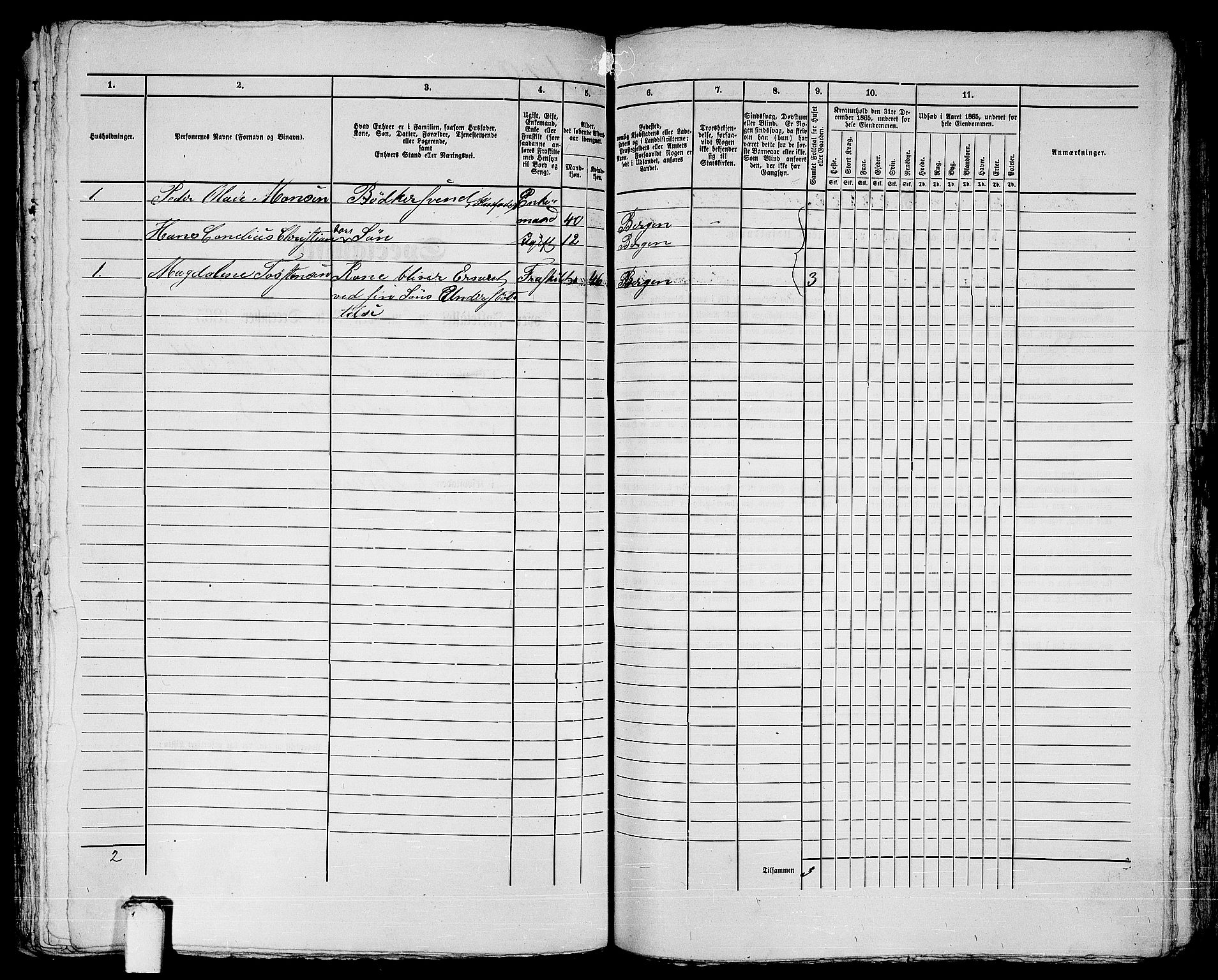 RA, 1865 census for Bergen, 1865, p. 913