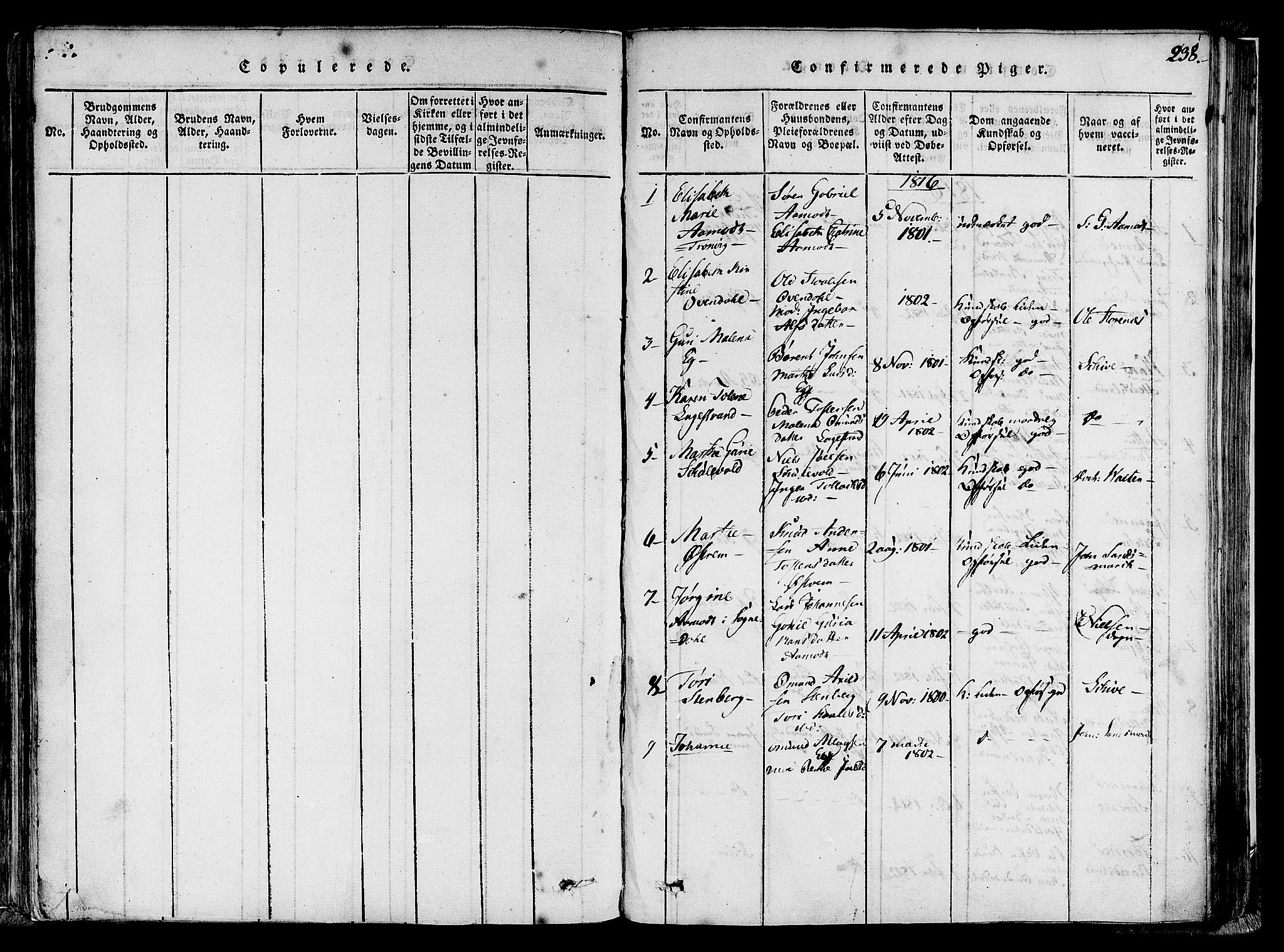 Lund sokneprestkontor, SAST/A-101809/S06/L0005: Parish register (official) no. A 5, 1815-1833, p. 238