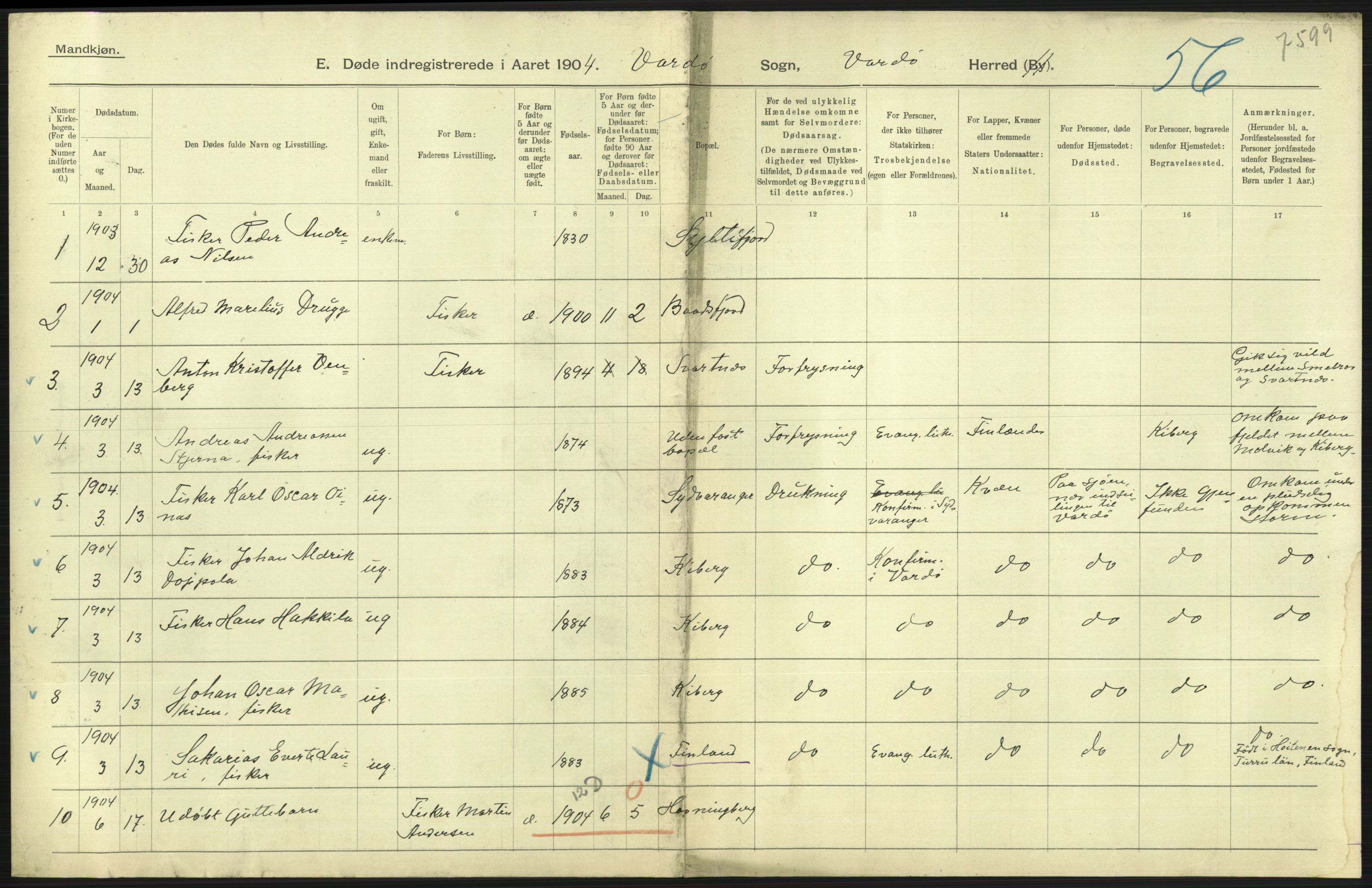 Statistisk sentralbyrå, Sosiodemografiske emner, Befolkning, AV/RA-S-2228/D/Df/Dfa/Dfab/L0023: Finnmarkens amt: Fødte, gifte, døde, 1904, p. 251