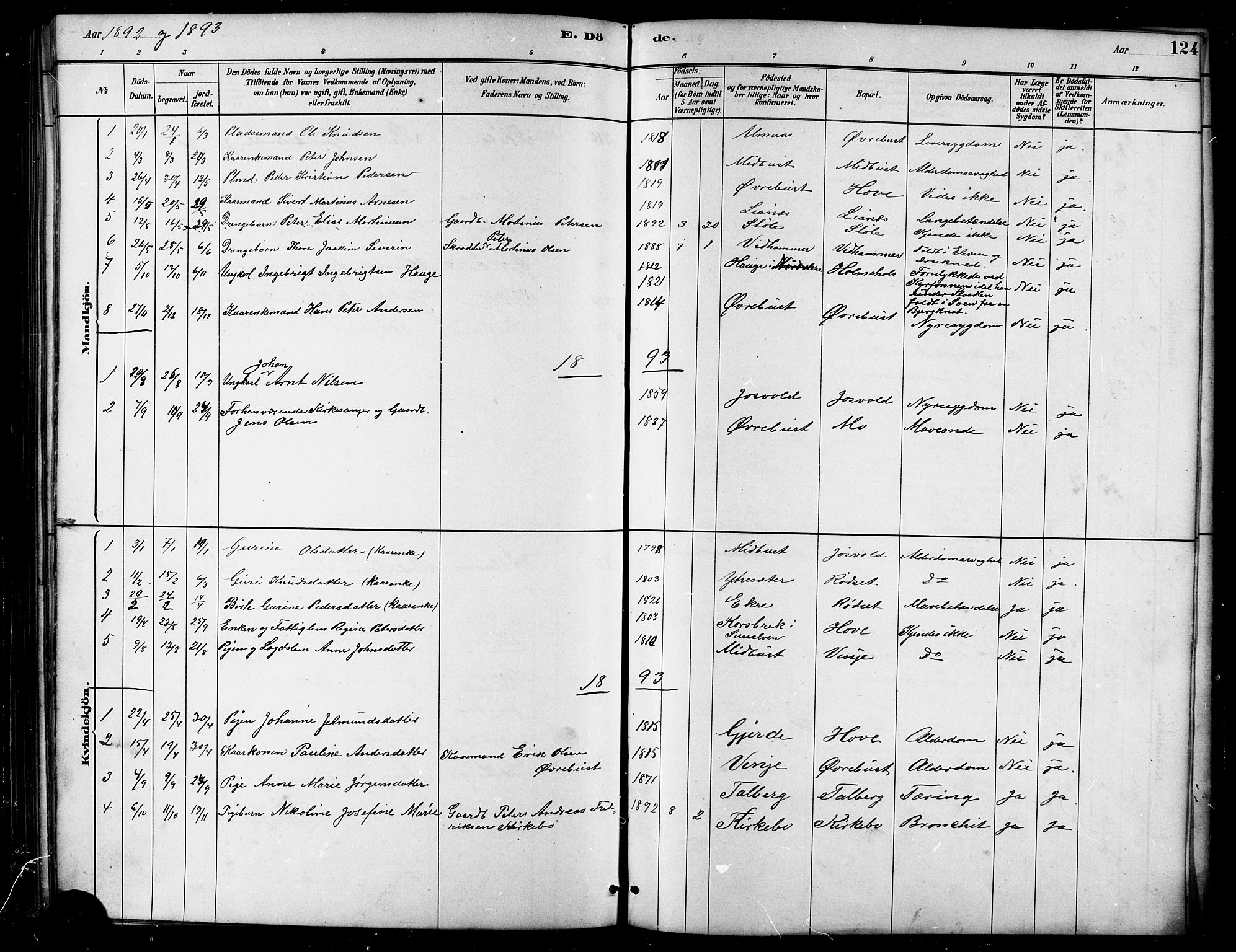 Ministerialprotokoller, klokkerbøker og fødselsregistre - Møre og Romsdal, AV/SAT-A-1454/521/L0302: Parish register (copy) no. 521C03, 1882-1907, p. 124