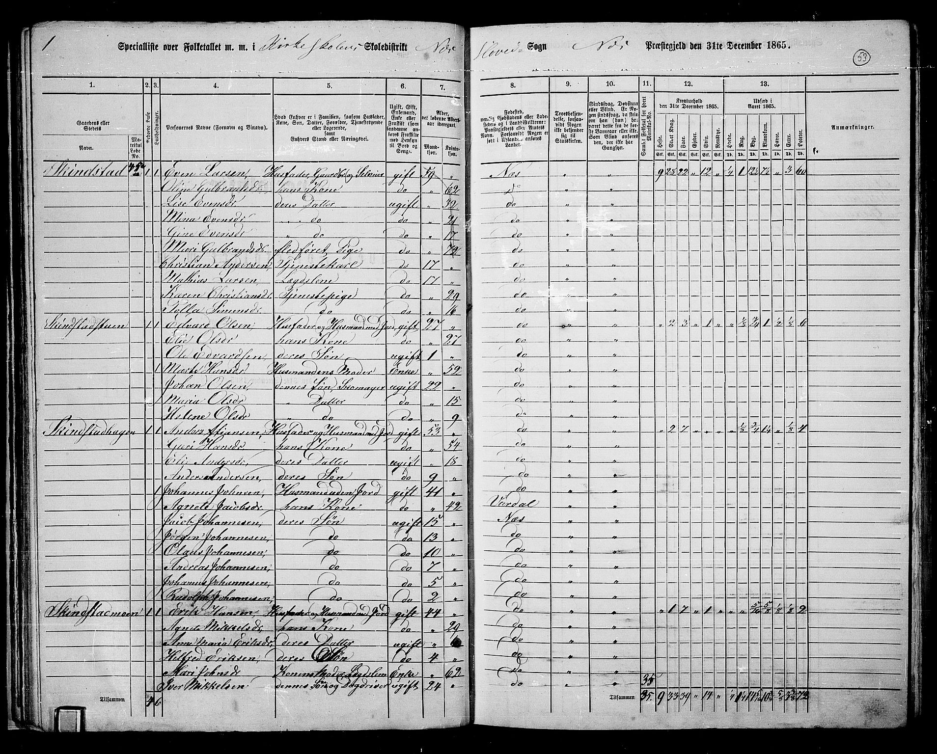 RA, 1865 census for Nes, 1865, p. 46