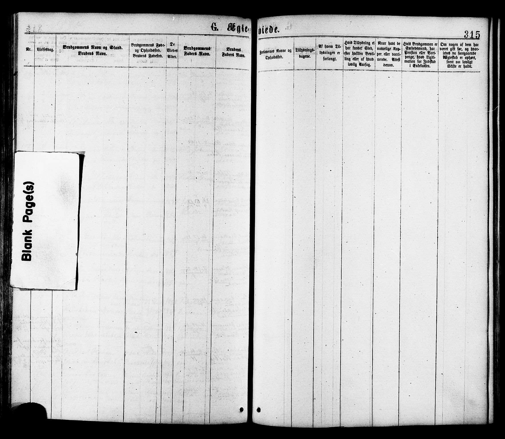 Ministerialprotokoller, klokkerbøker og fødselsregistre - Sør-Trøndelag, SAT/A-1456/646/L0613: Parish register (official) no. 646A11, 1870-1884, p. 315
